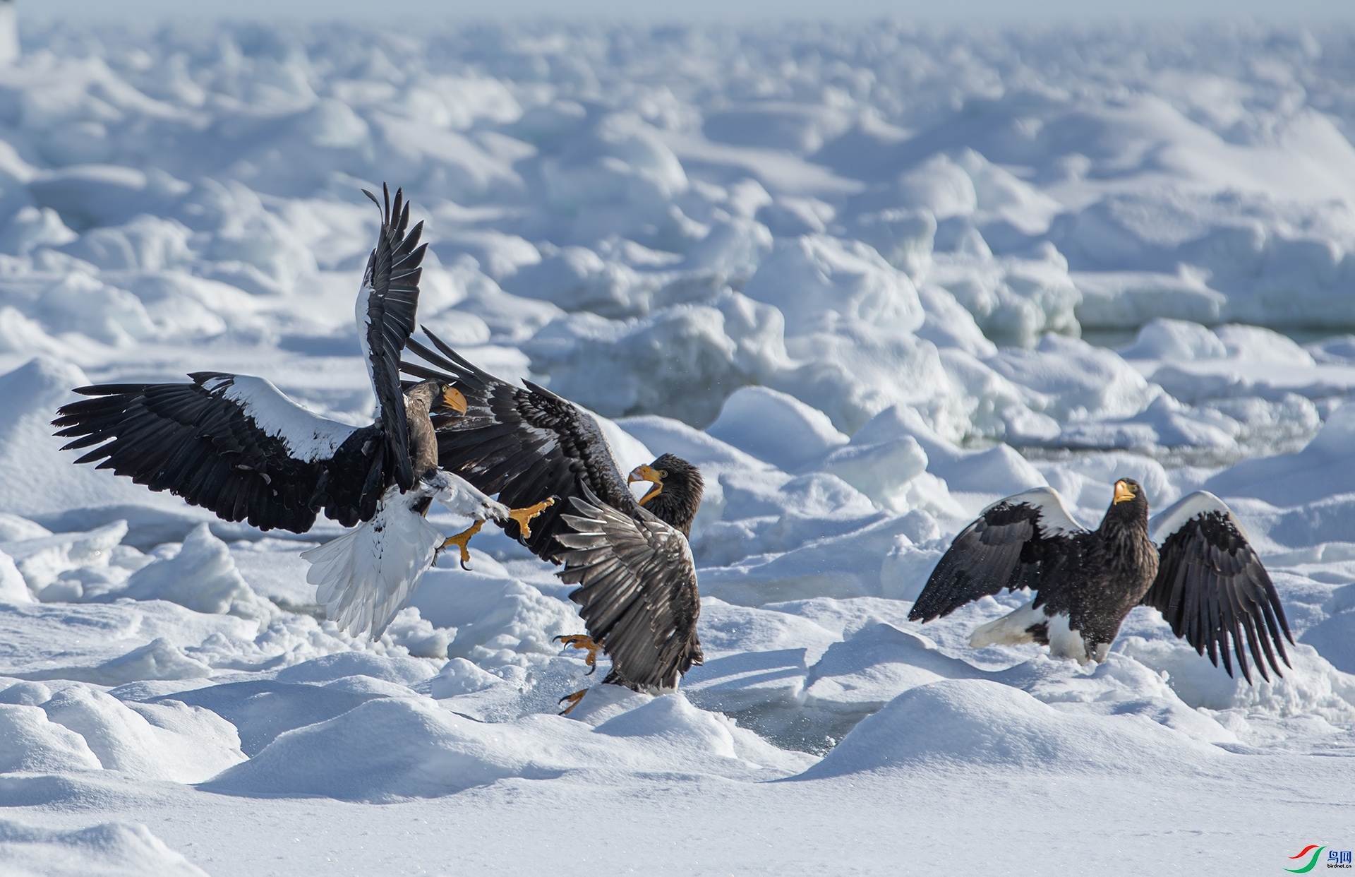 ����  ����  �羰�� �ܶ�.jpg