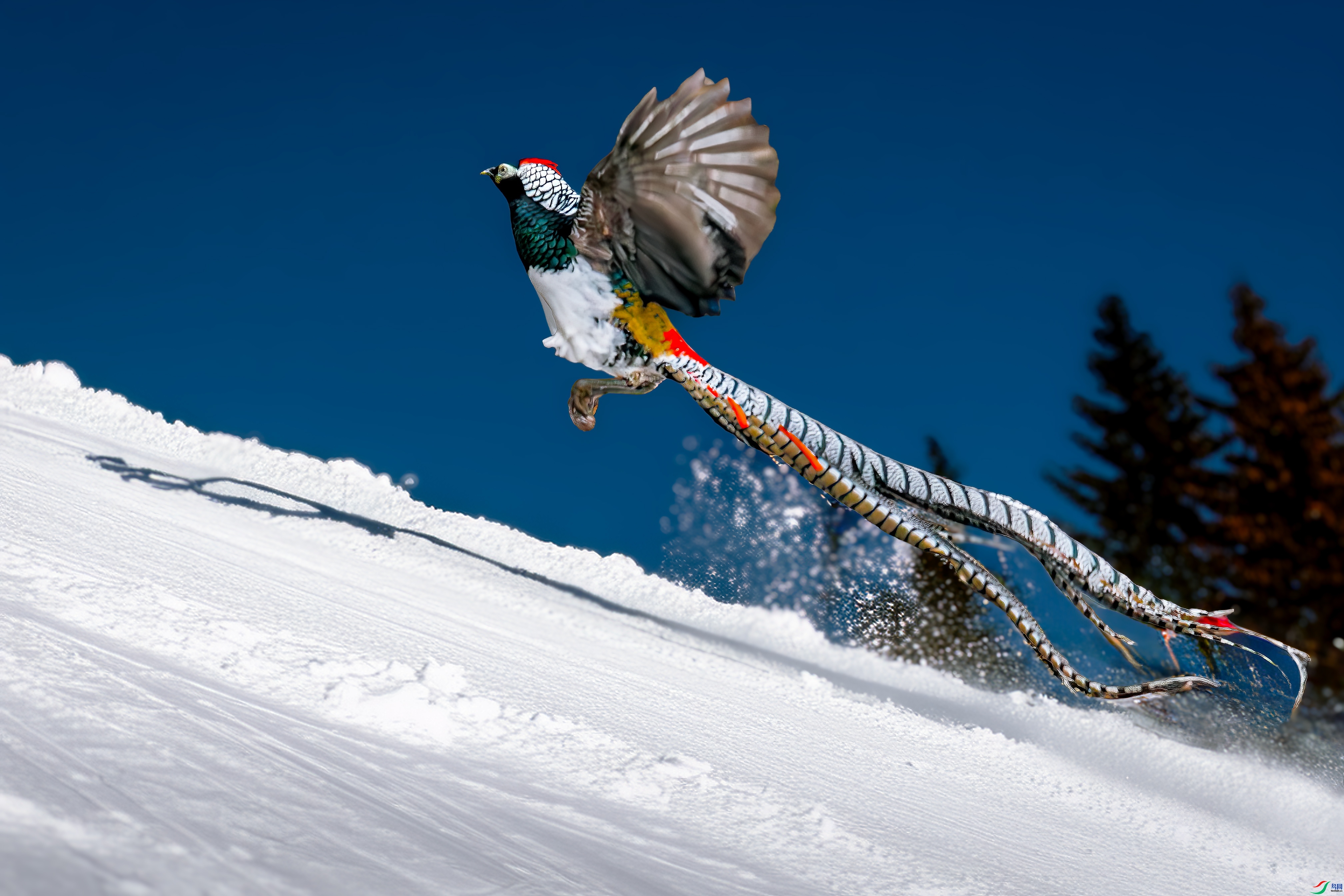 �ɼ�  ���� ��ͷ�� ����.jpg