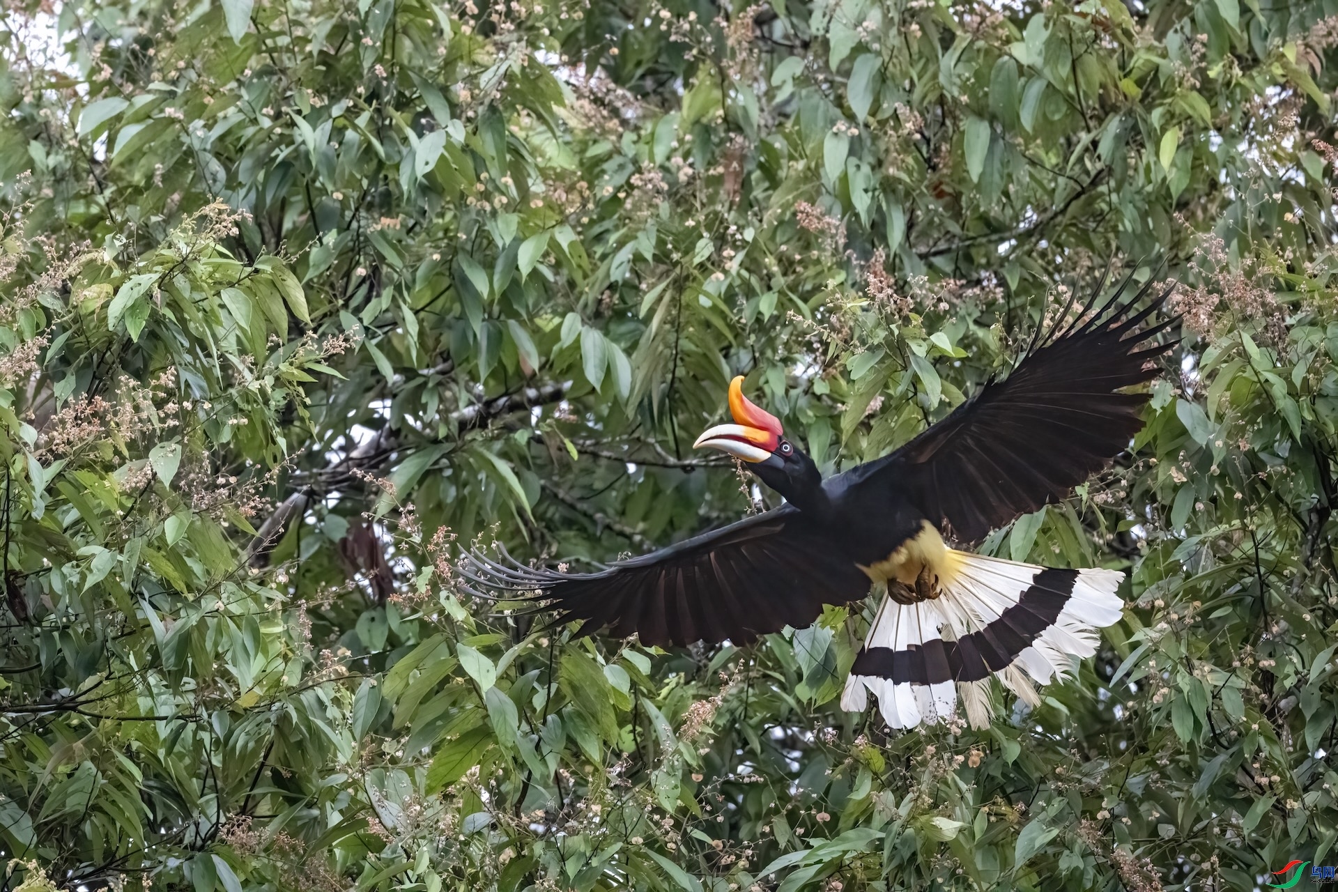 ����Ϭ�� ���� haoran100  ����.jpg