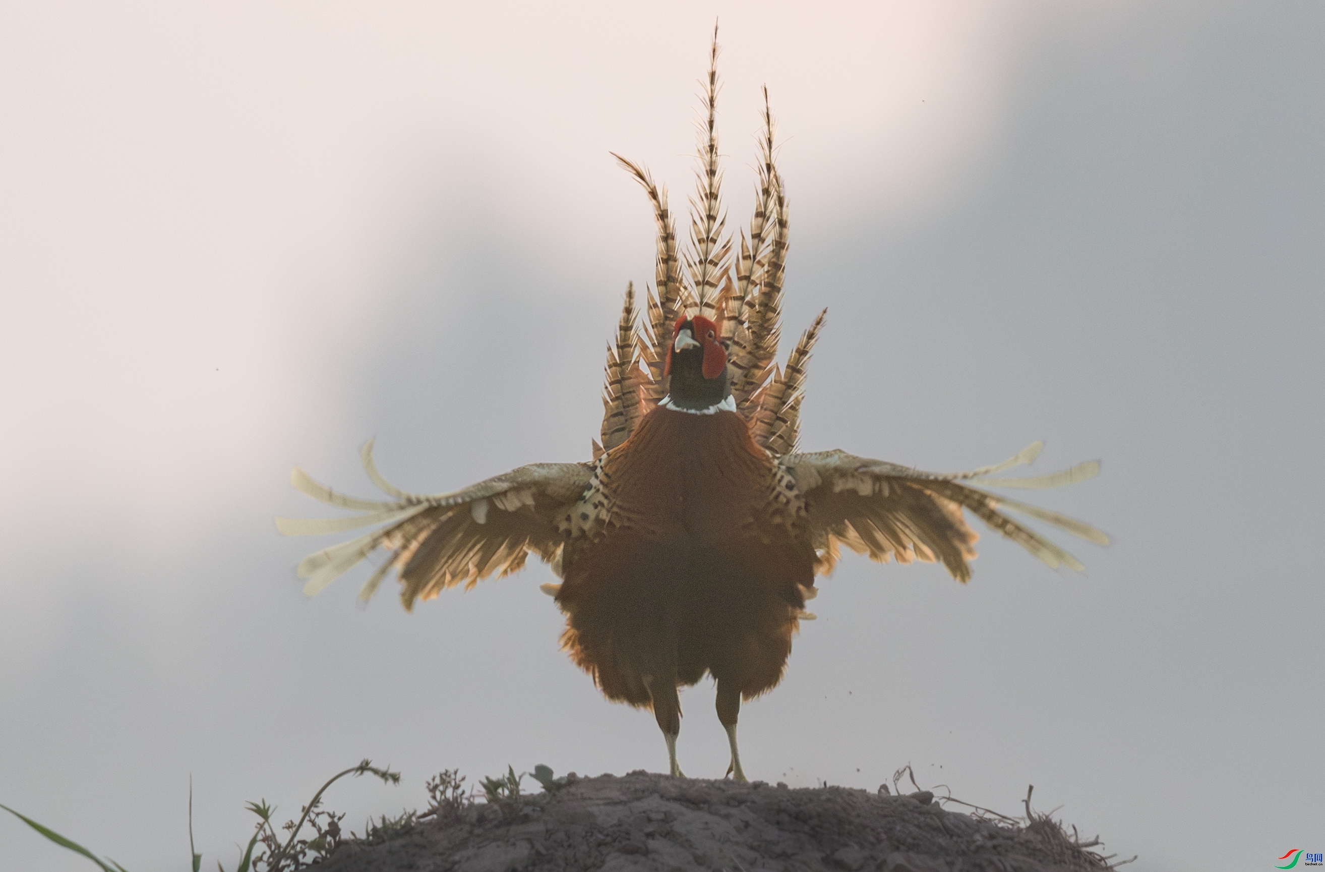 �������� ���� һ·���� ����.jpg