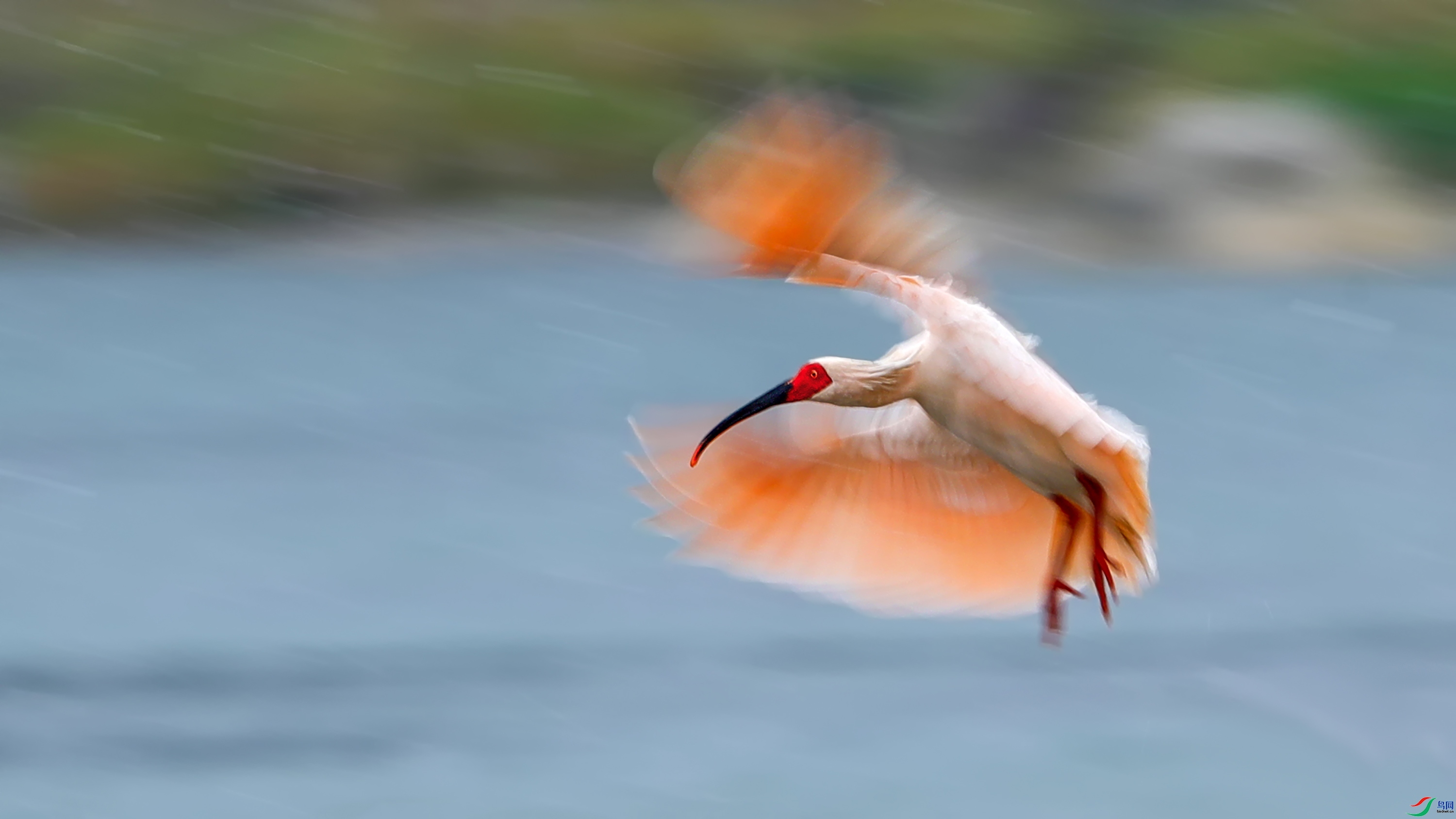 ����-ӭ��ðѩ  ���� ���� ����.jpg