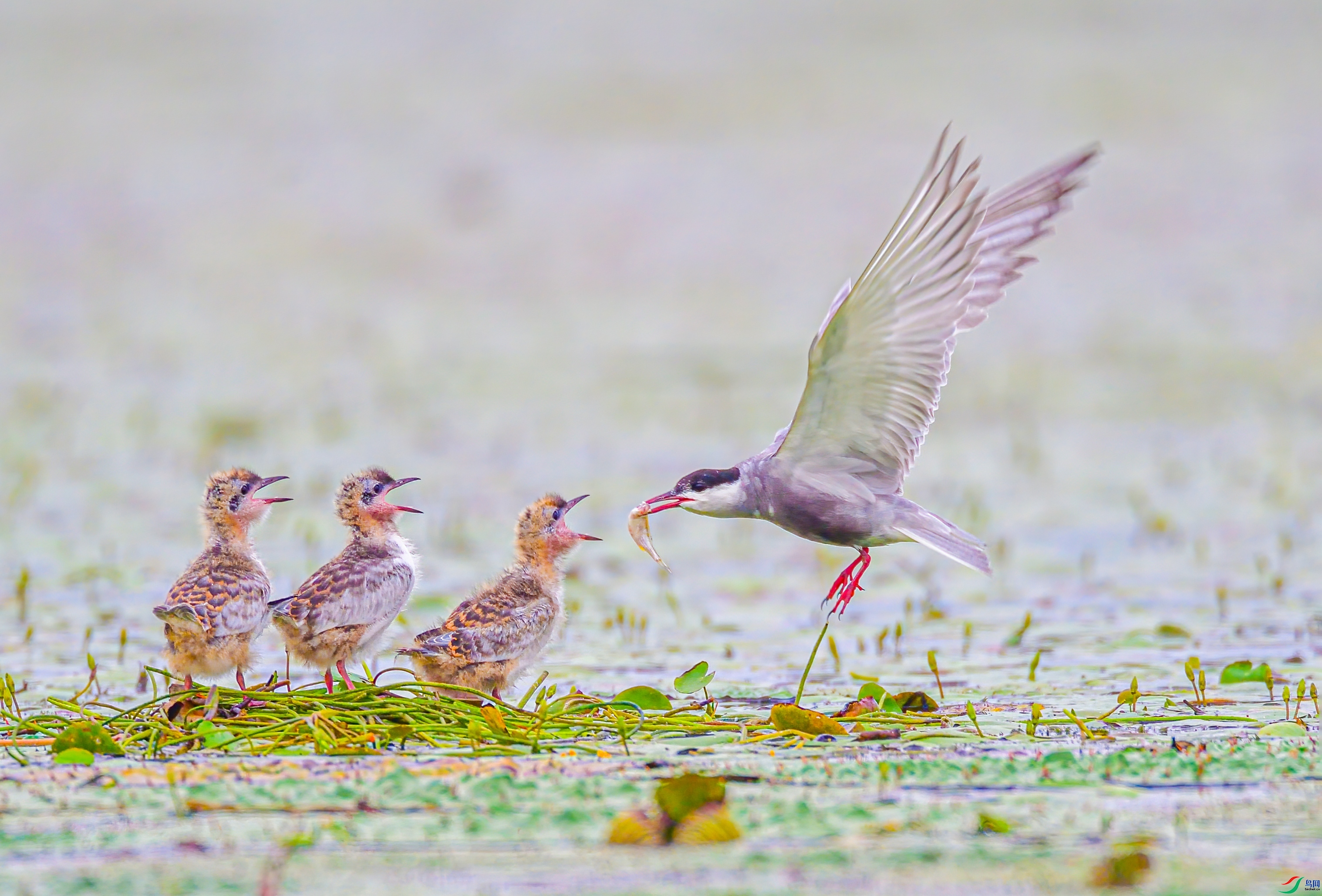 ���� ���� ������ ����.jpg