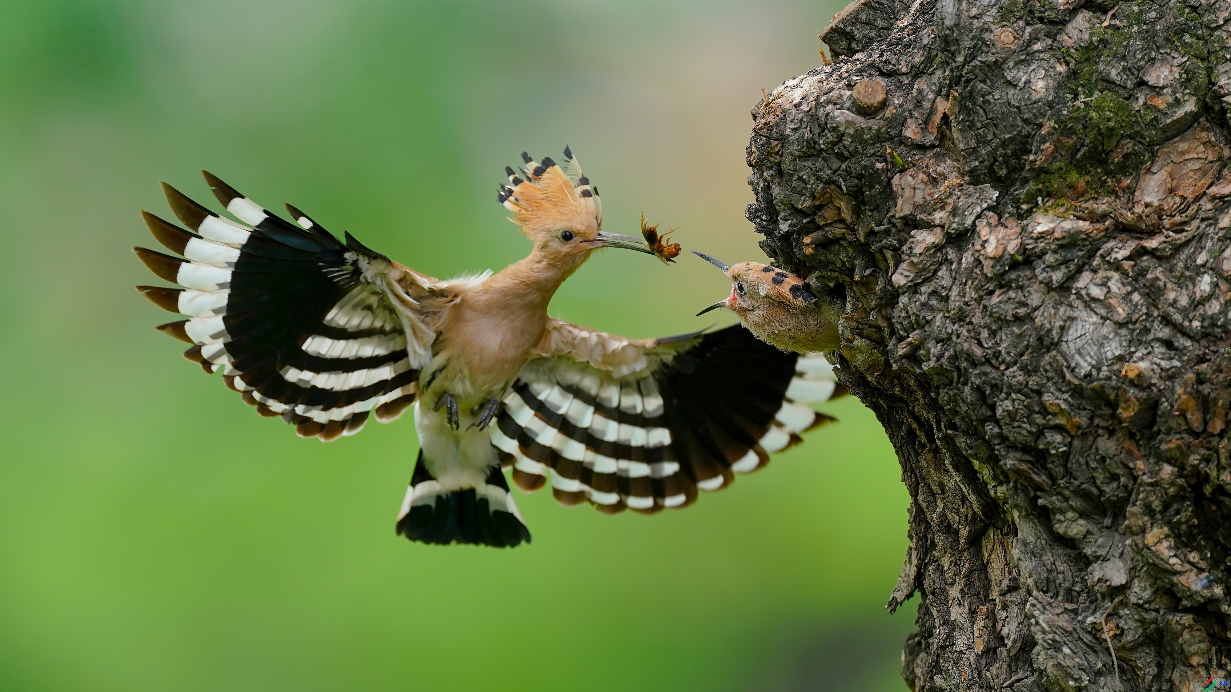 ����  ���� ������ ����.jpg