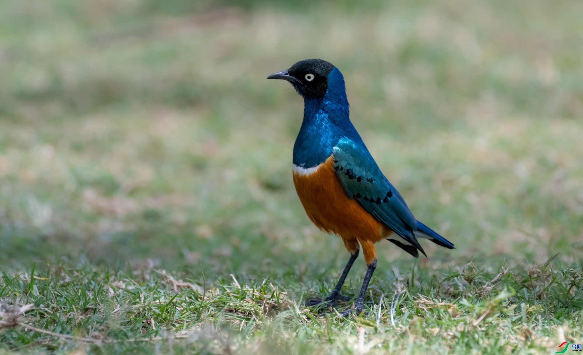 ���  ���� ��Ͽ֮�� ����.jpg