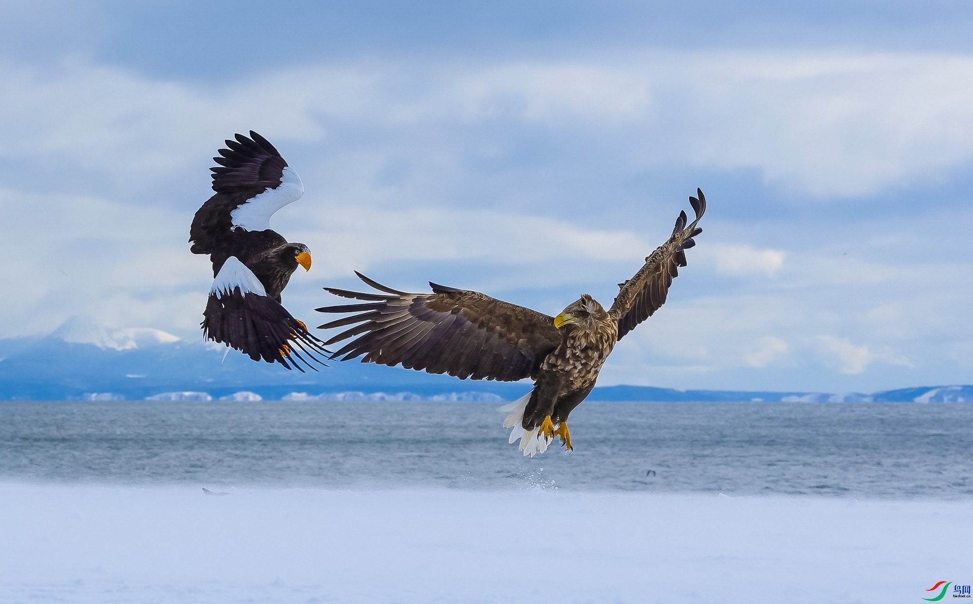 ����  ���� �ǳ� ����.jpg