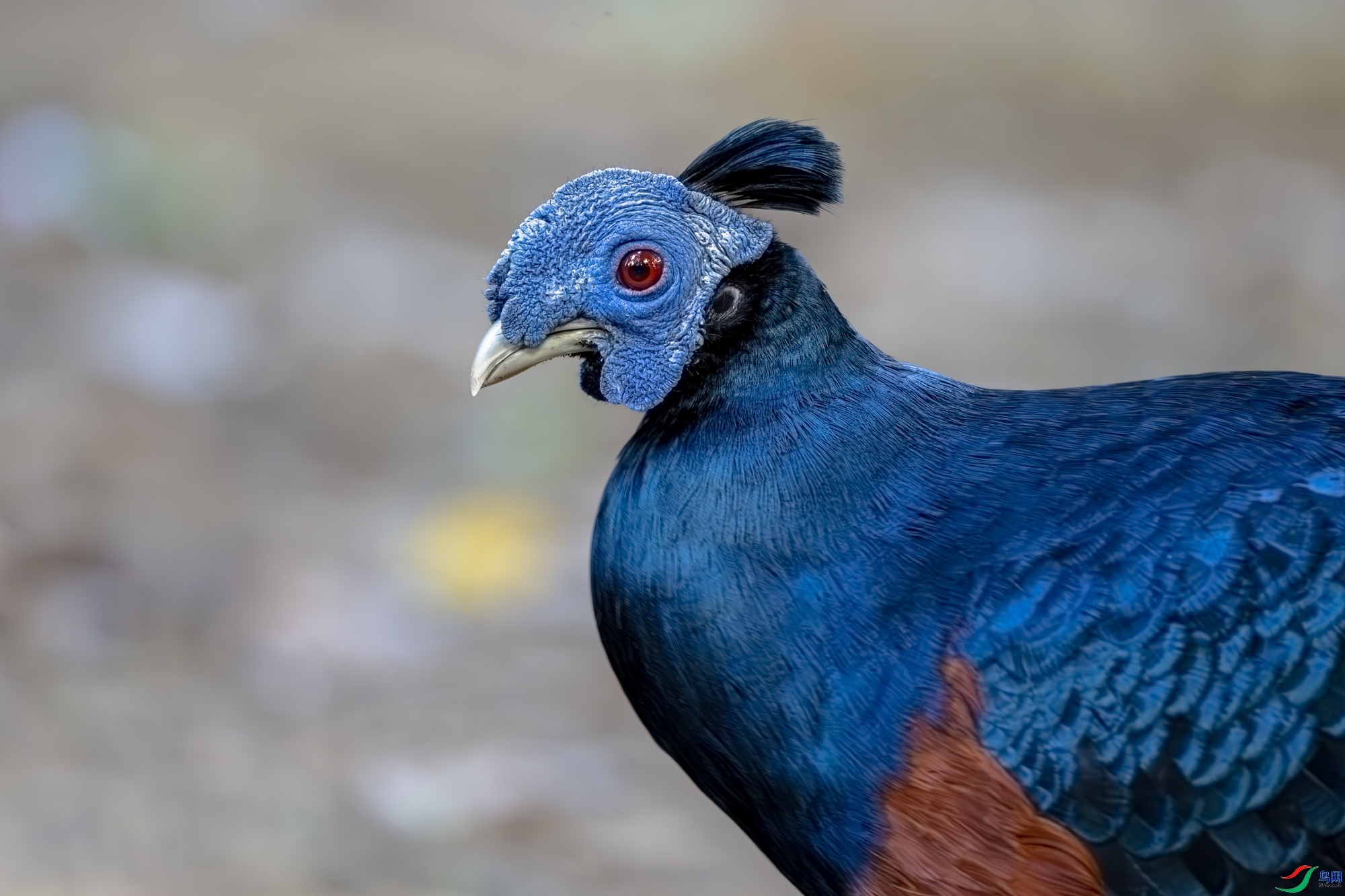 ����  ���� ���� ����.jpg