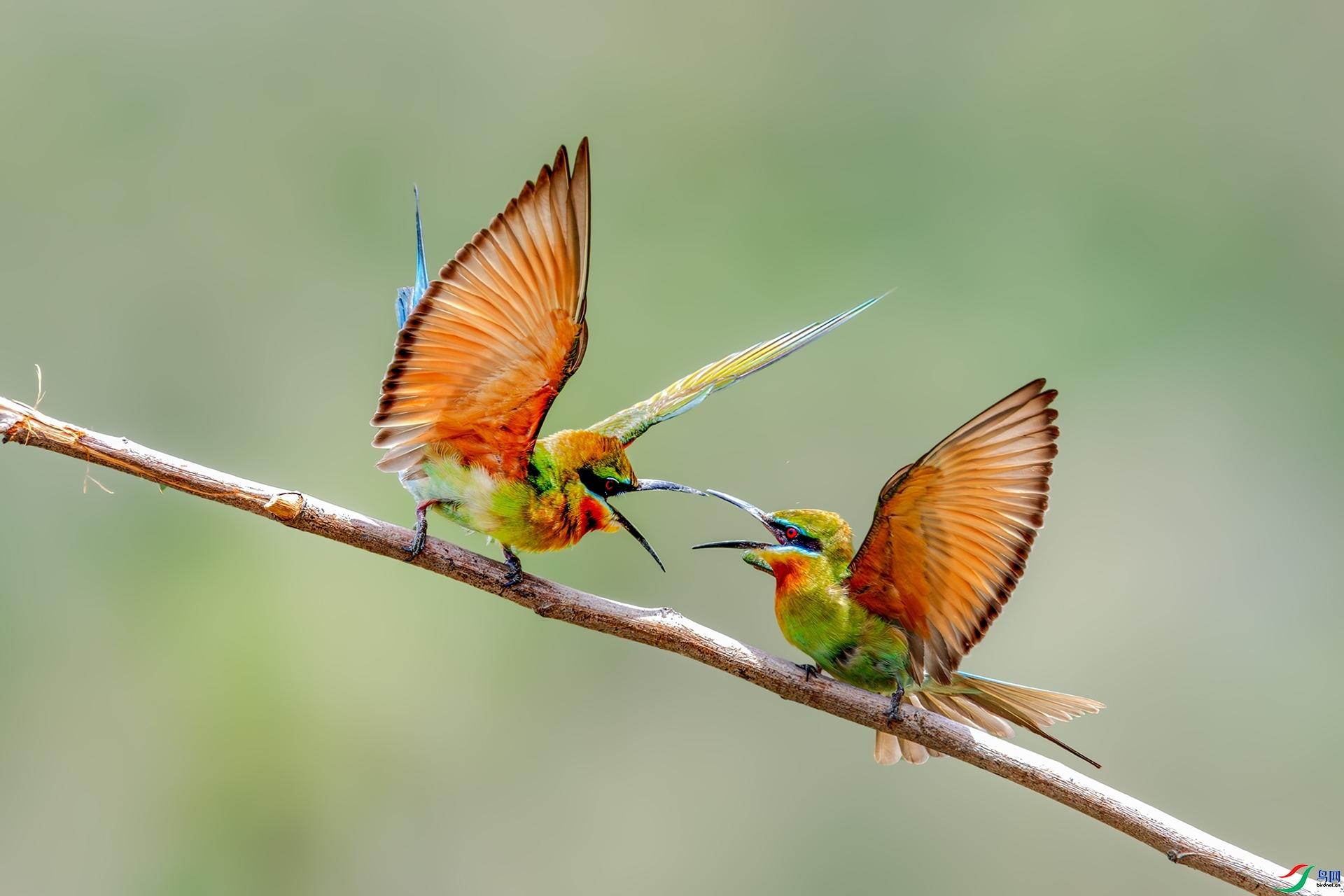 ����  ���� ����ǿ ����.jpg