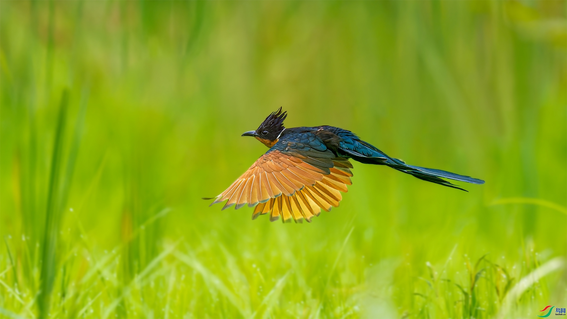 ����ͷ��  ���� �ϫ ����.jpg