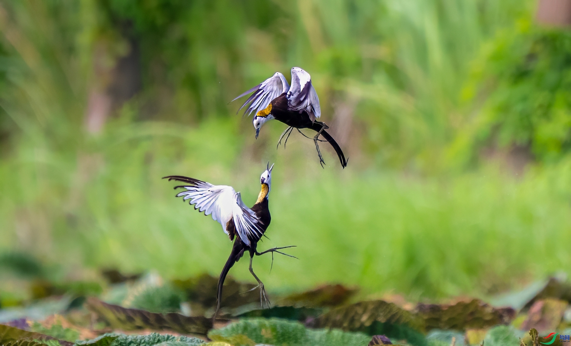 ���� ���� ����ʽ ����.jpeg