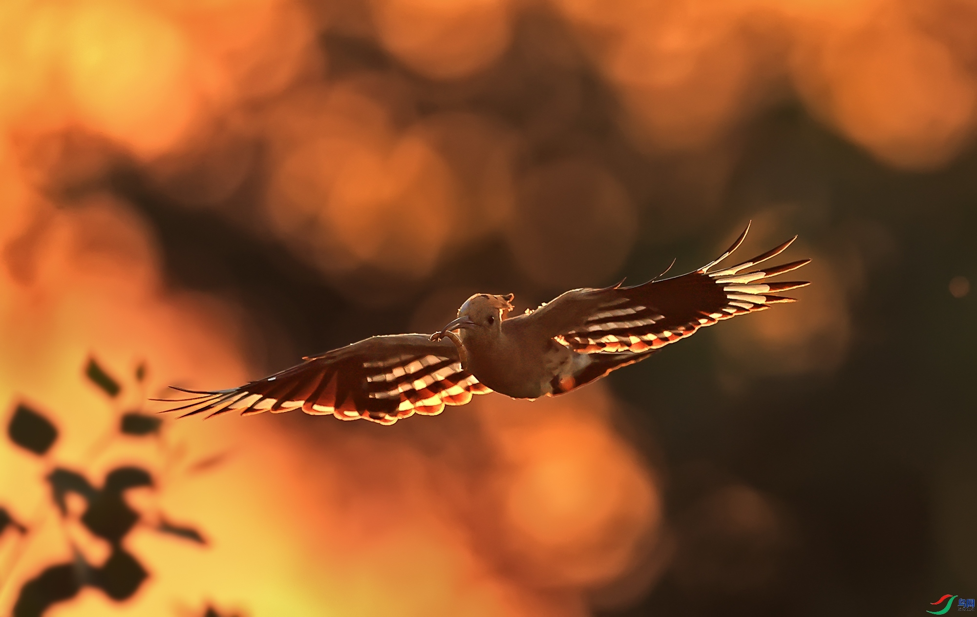 ���д���  ���� ��Ұ ����.jpg