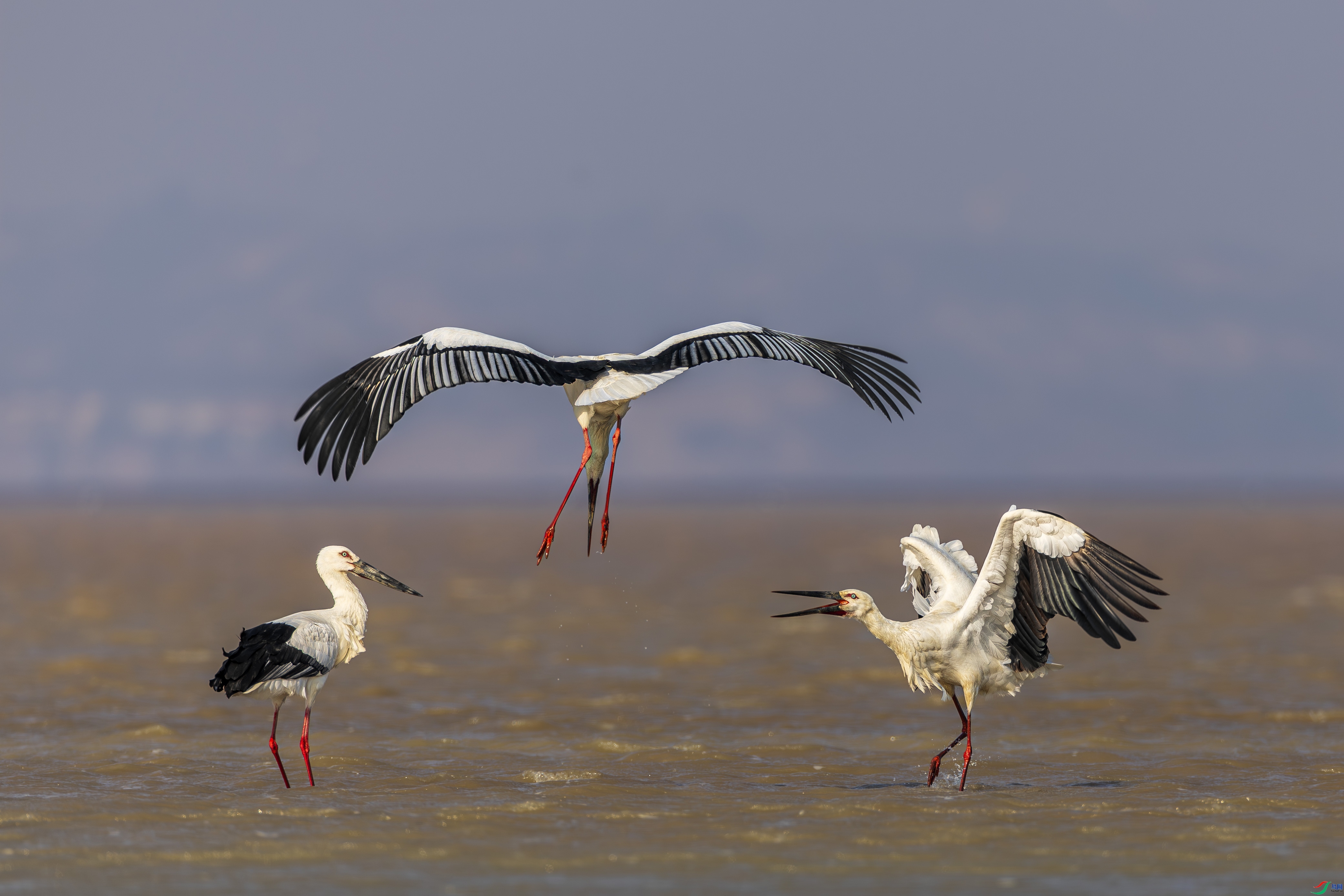 �������� ���� ������ ����.jpg