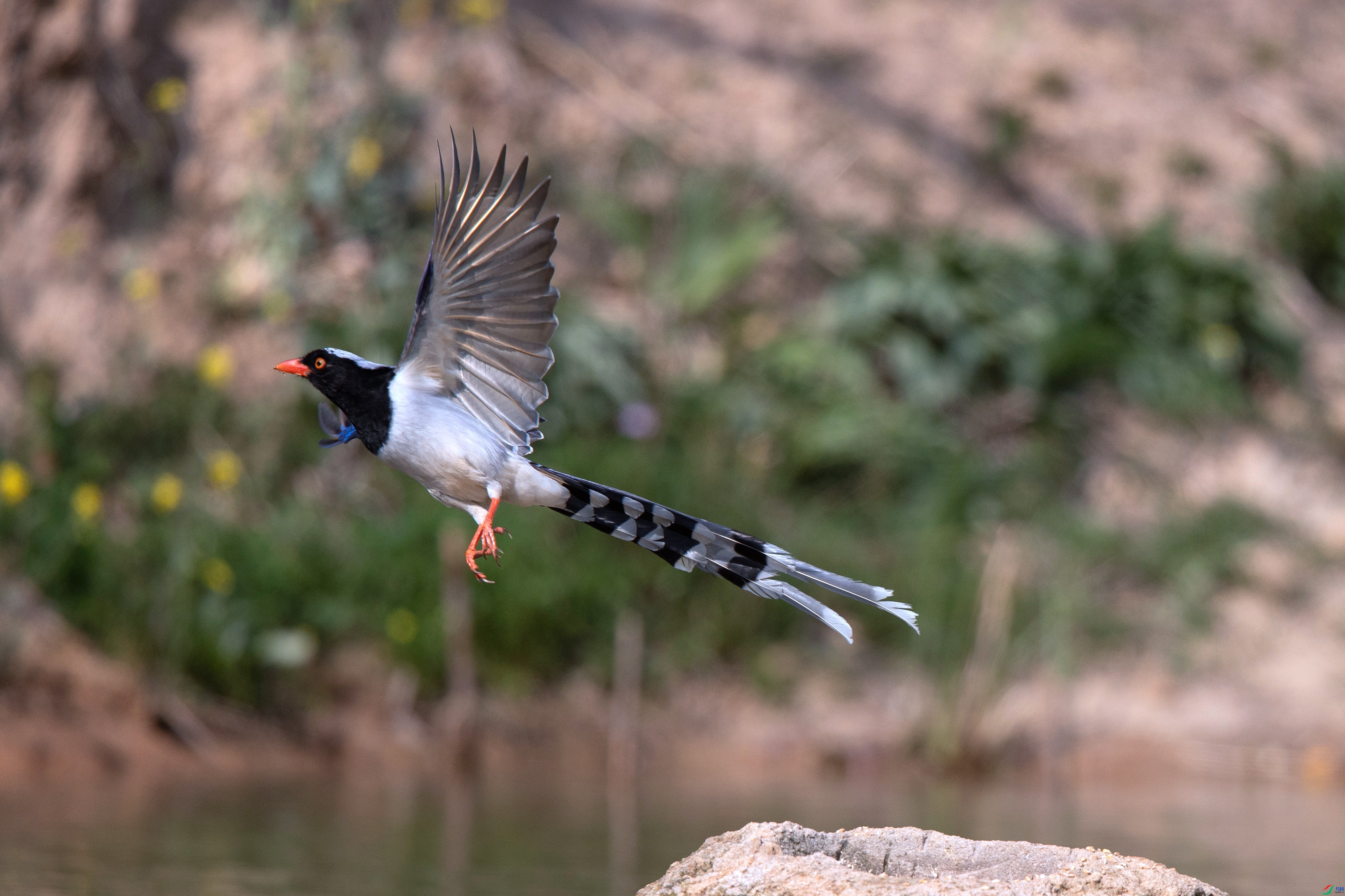 ������ȵ  ���� ��Ƭ��� ����.jpg