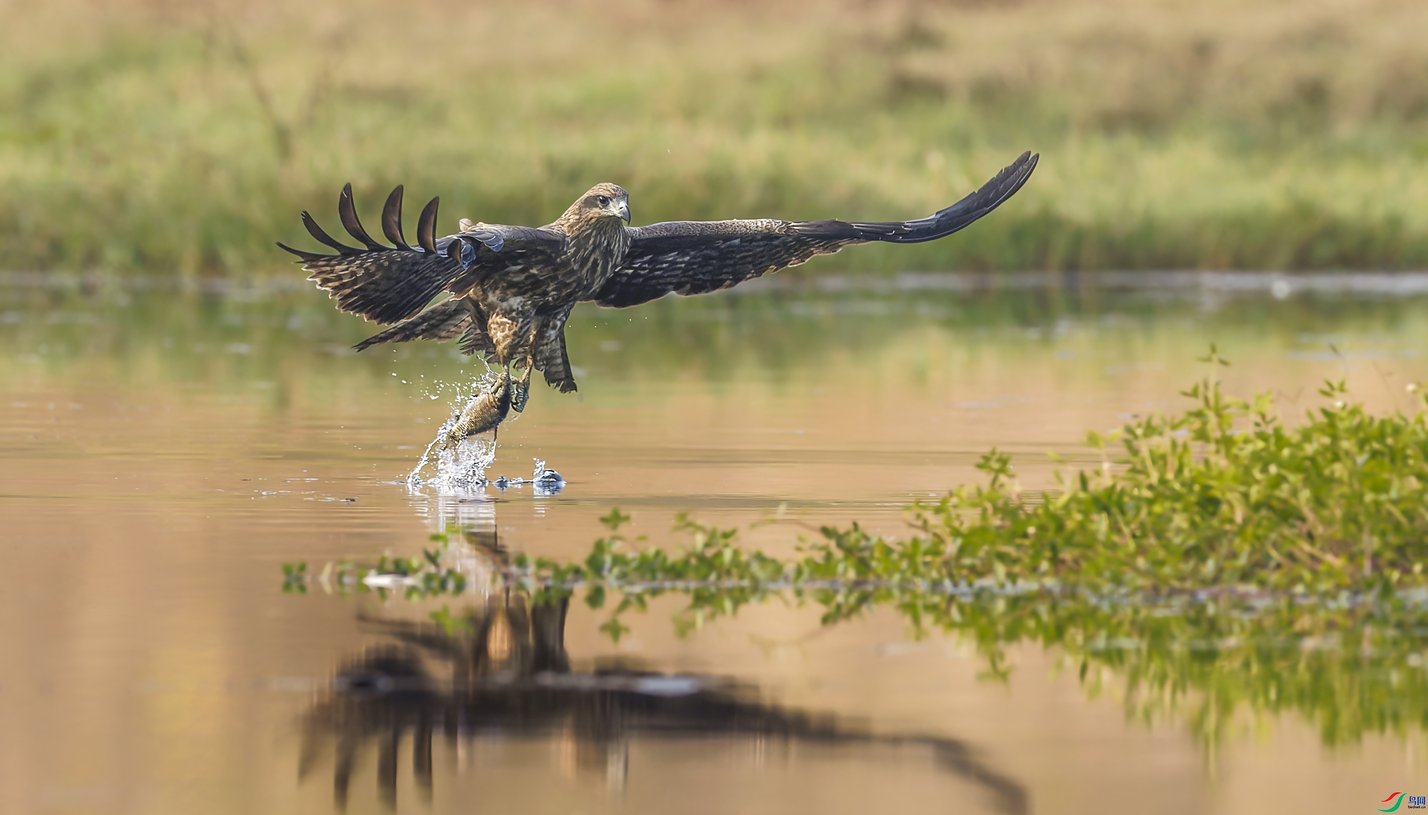 ��  ���� �ϫ ����.jpg