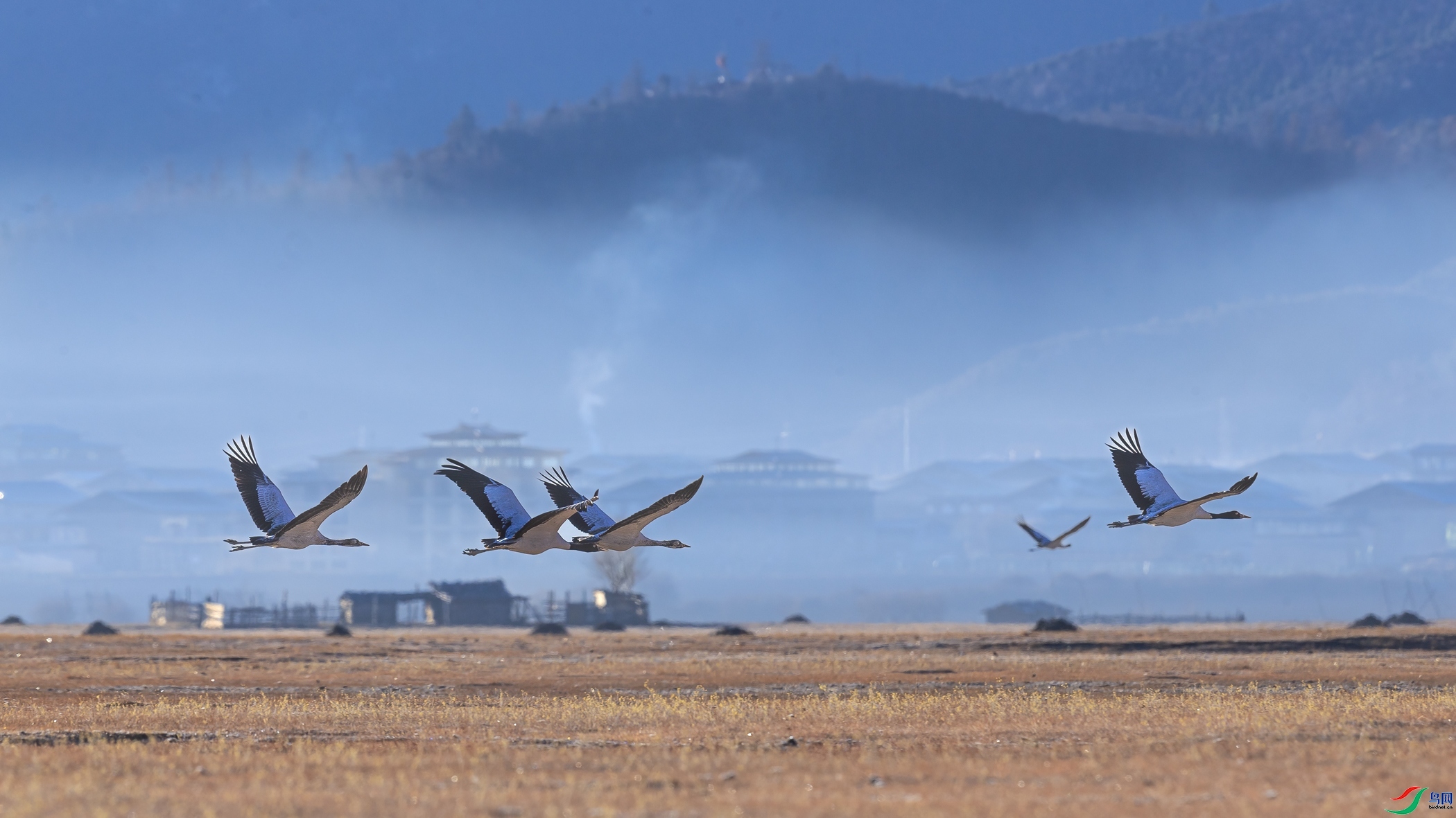 �������-�ھ���  ���� ��ͥ�Ų�yes  ����.jpg