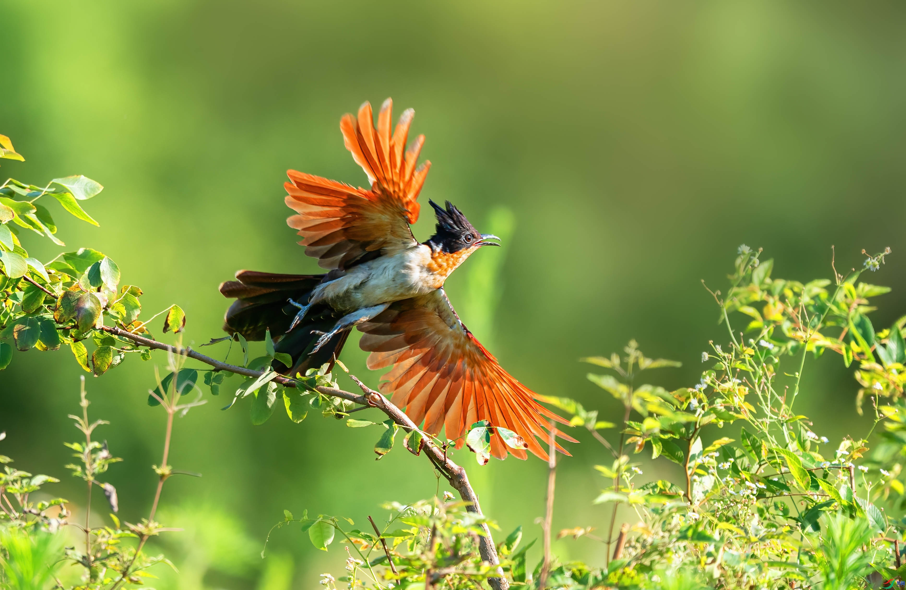 չ��  ���� �ܸ� ����.jpg