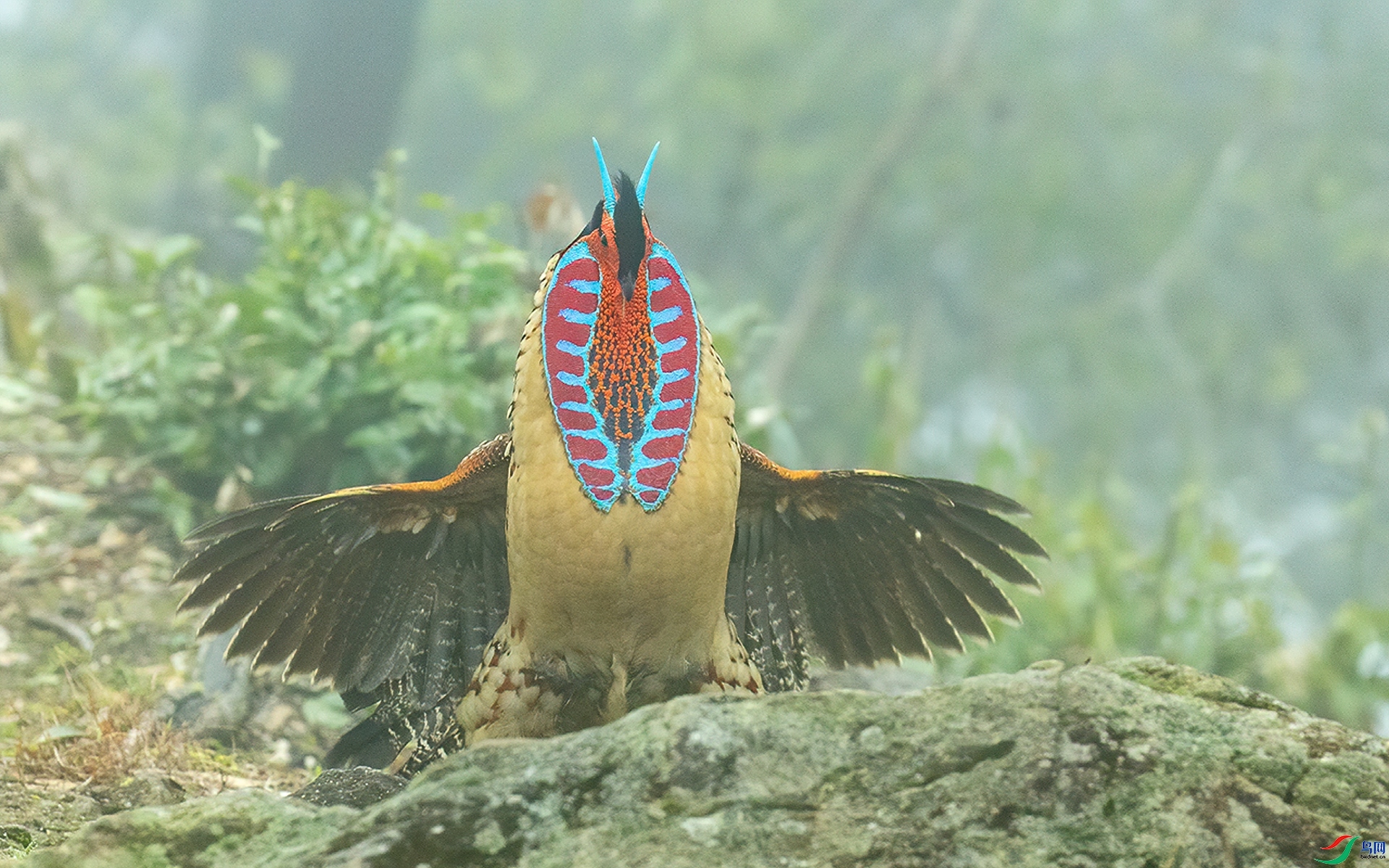 ����  ���� л���� ����.jpg