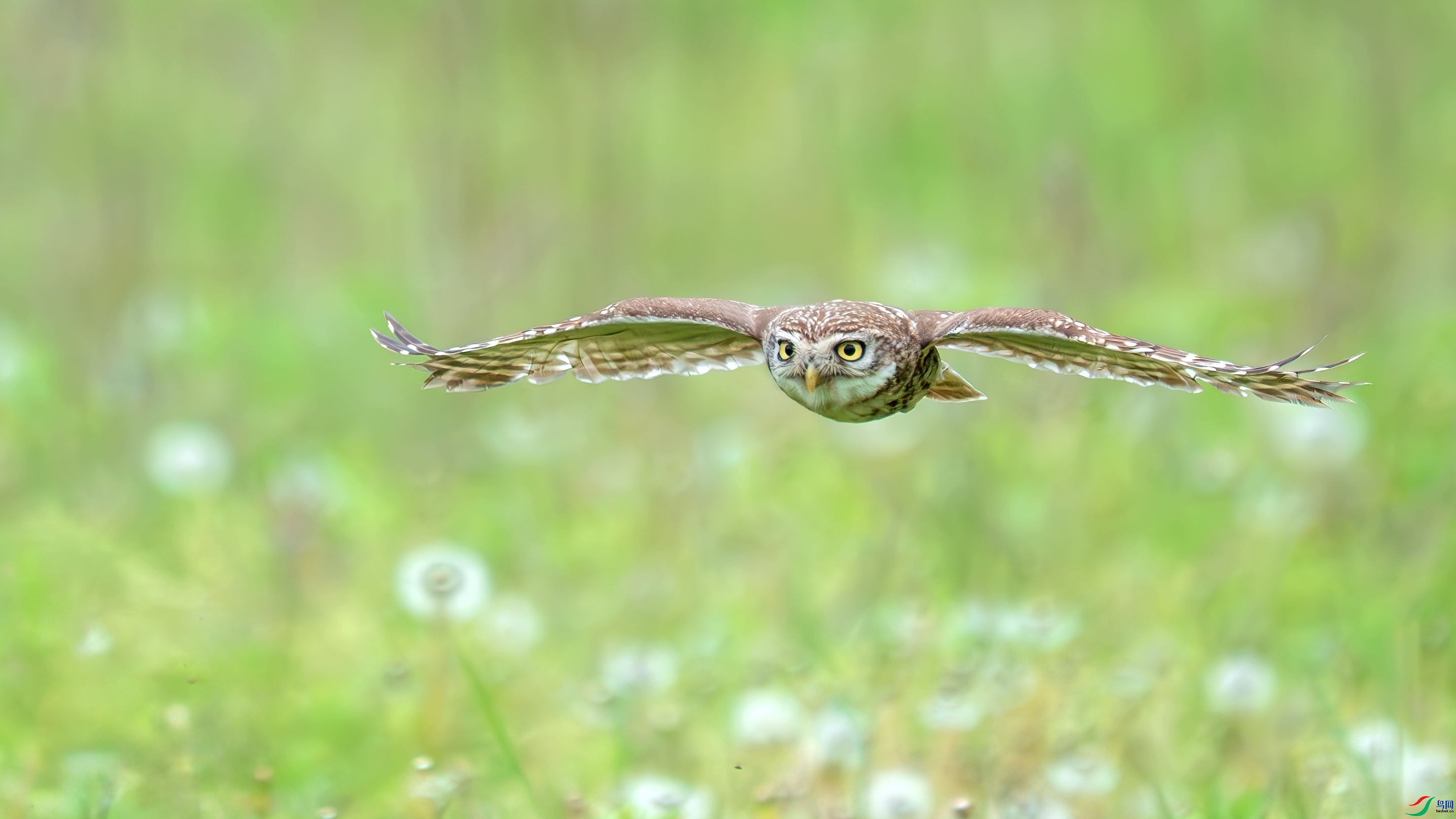 ���Ϳշ���  ���� С�׺� ����.jpg