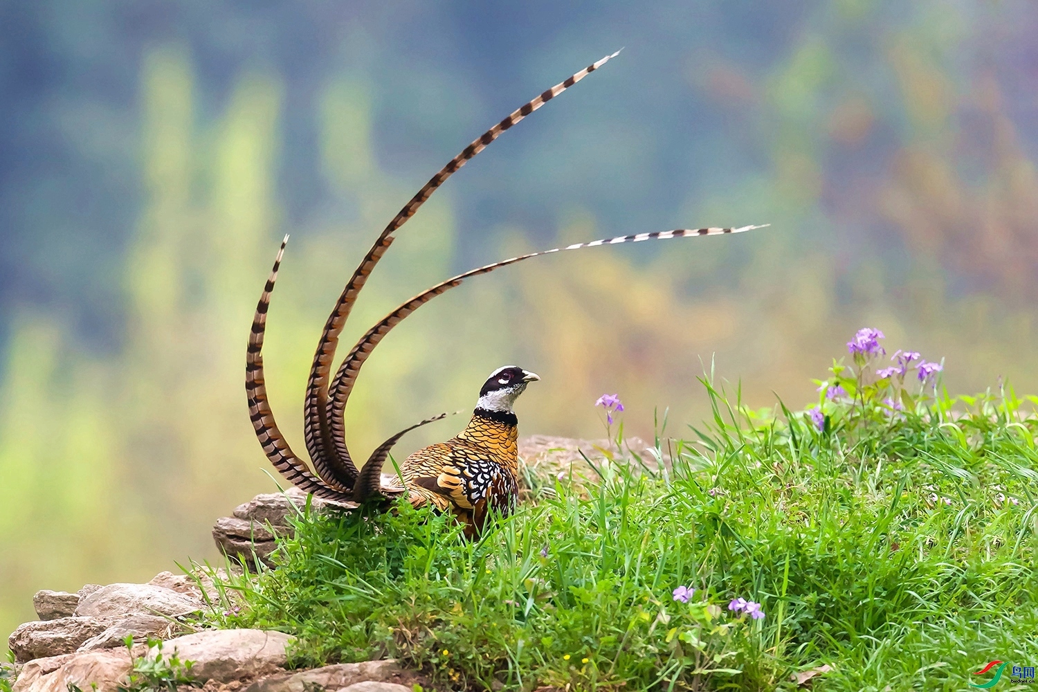 ������β��  ���� ͧ�� ����.jpg