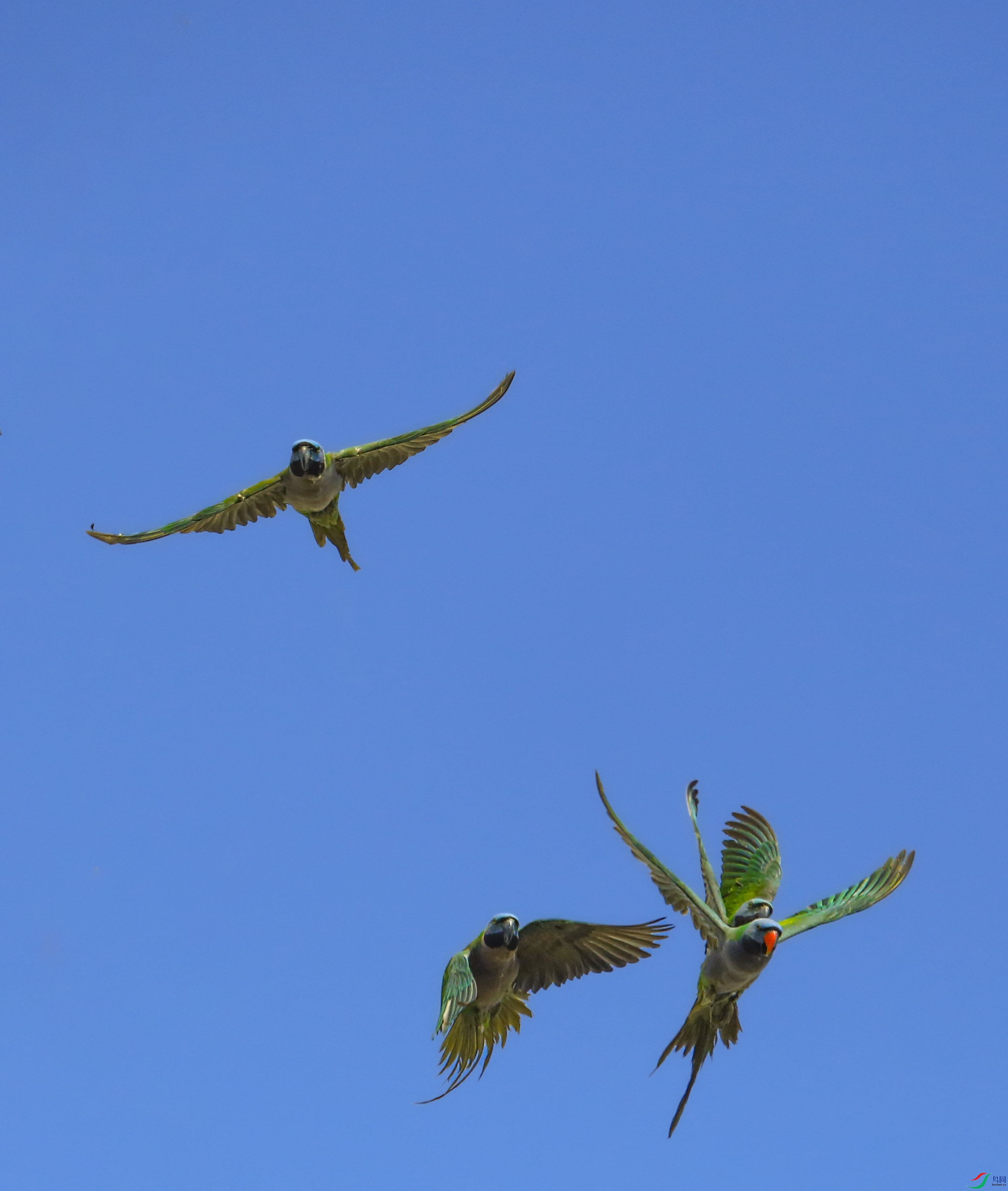 673A9630 ����.jpg