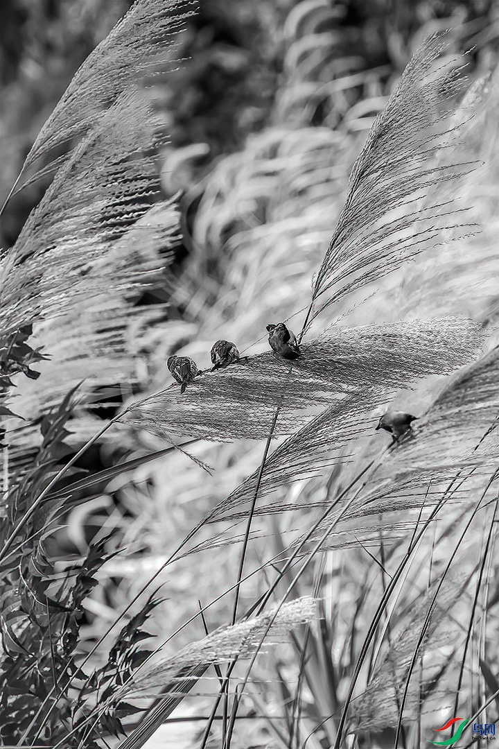 _MG_0228(�ڰ�).jpg