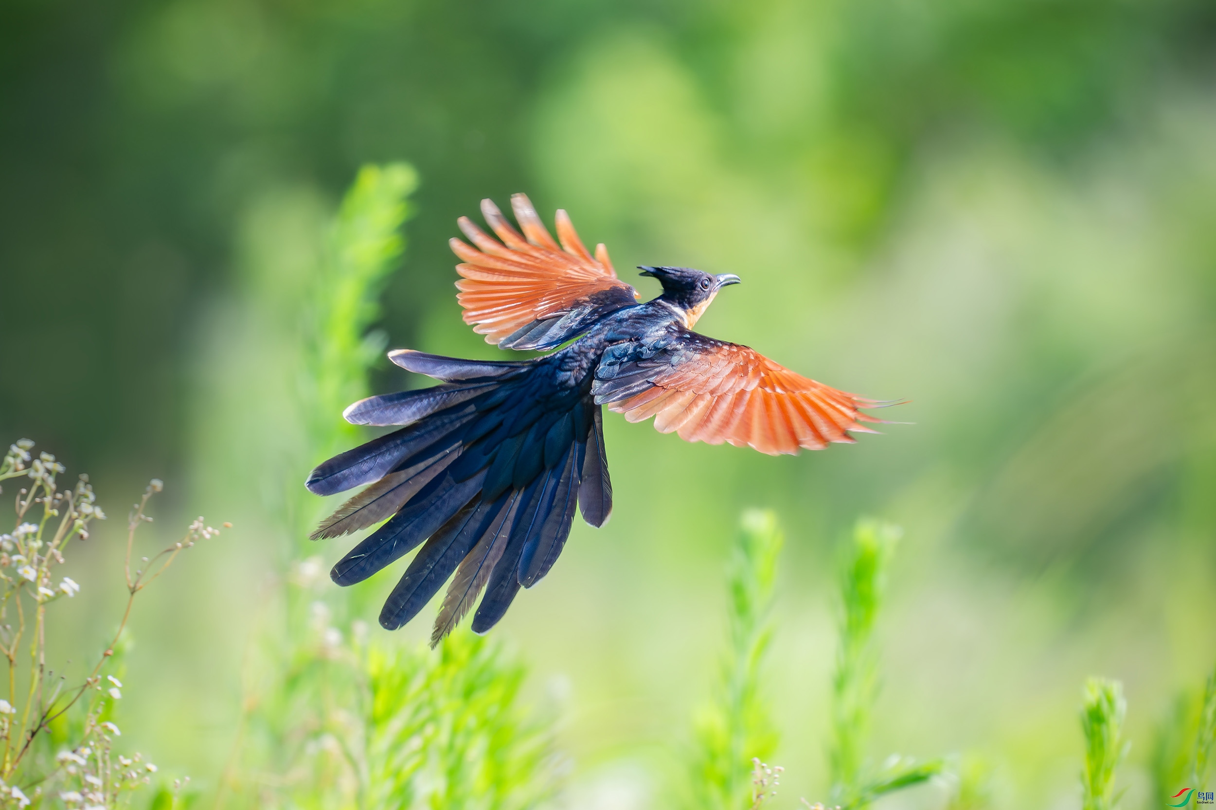 DSC_9887 ���� 2.jpg