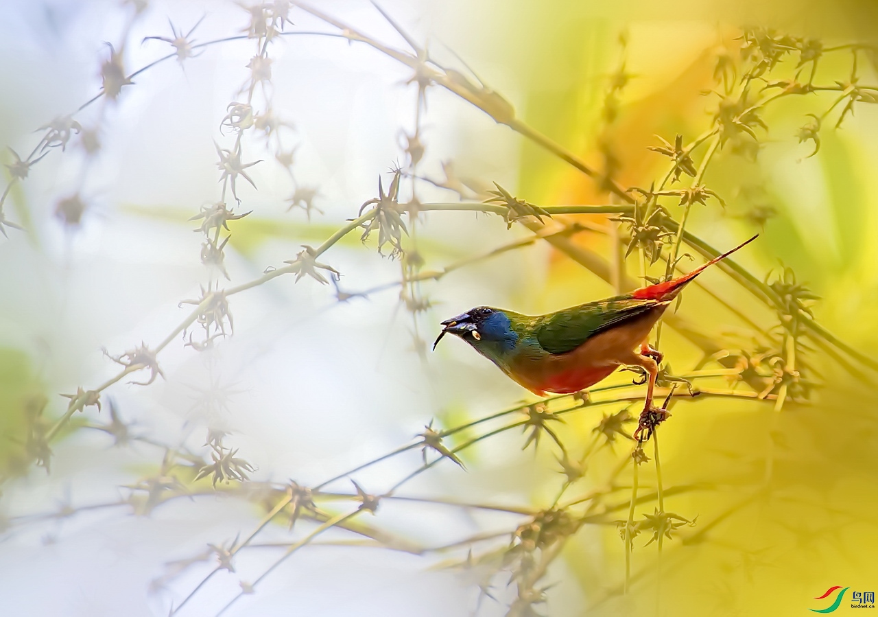 DSC_5645s.jpg
