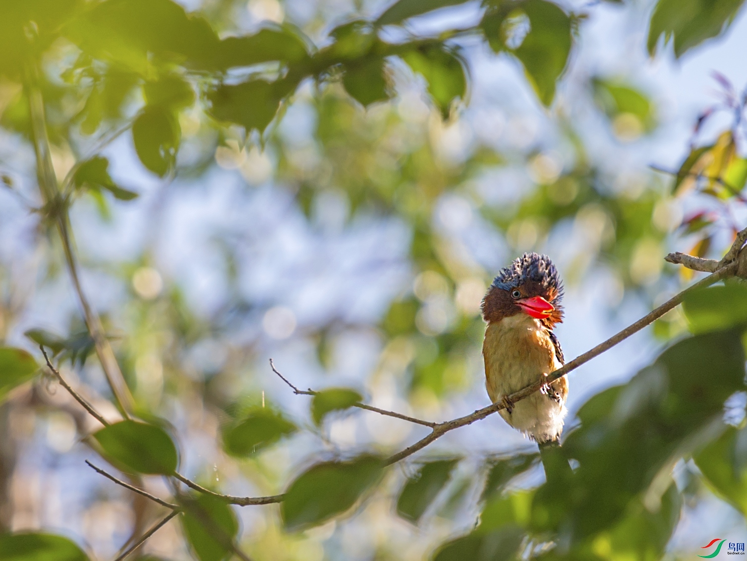 DSC_4344.jpg