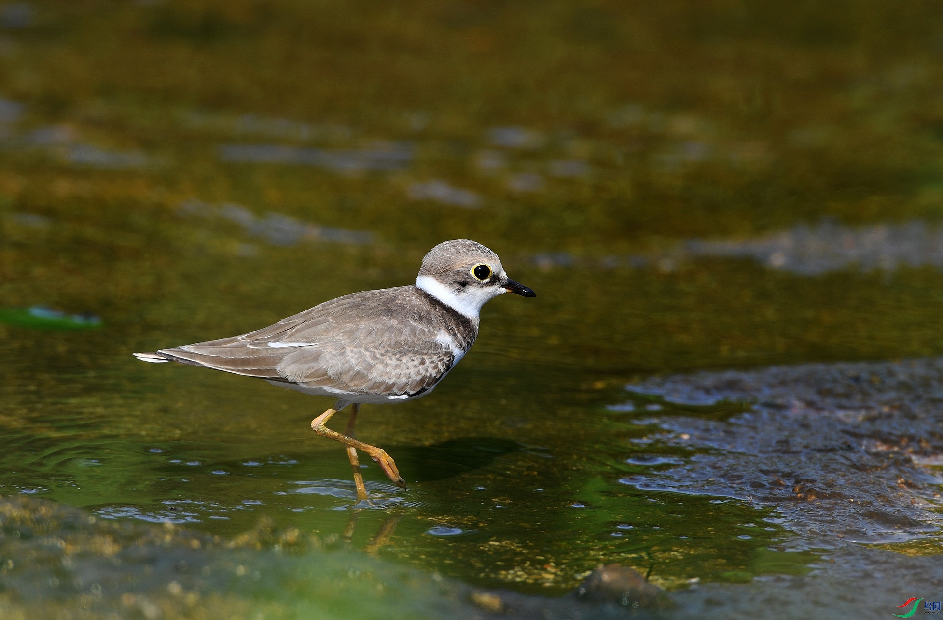 DSC_6059.jpg