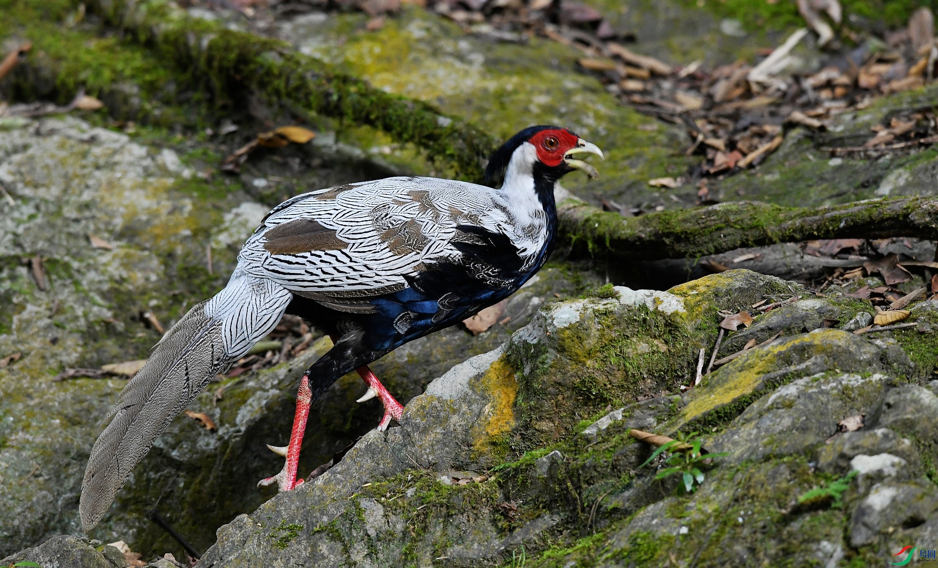 DSC_7648.jpg
