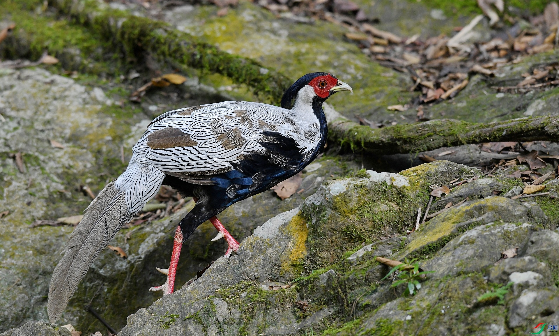 DSC_7653.jpg