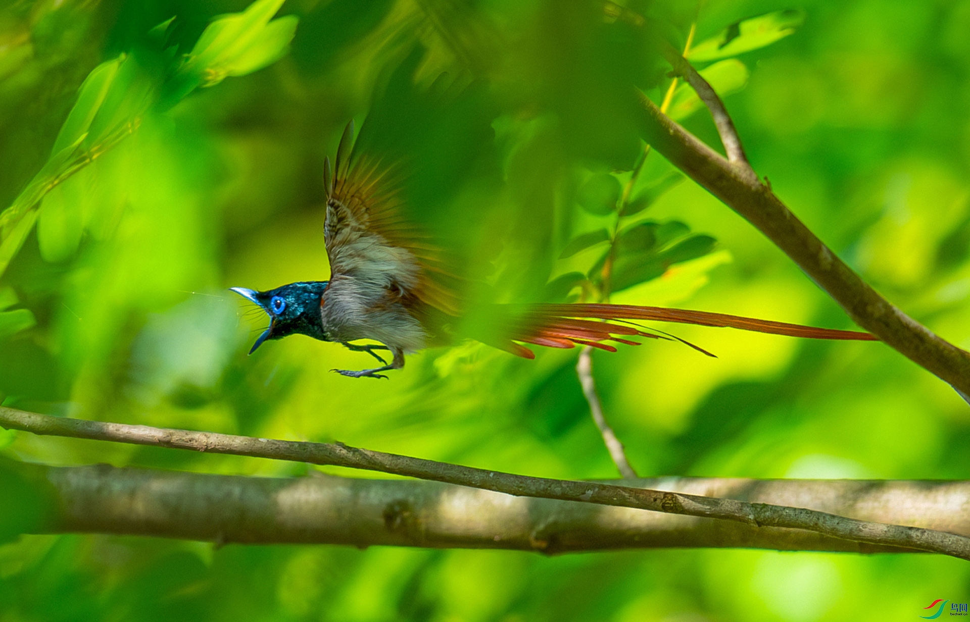DSC_2097-����ǿ-NR.jpg