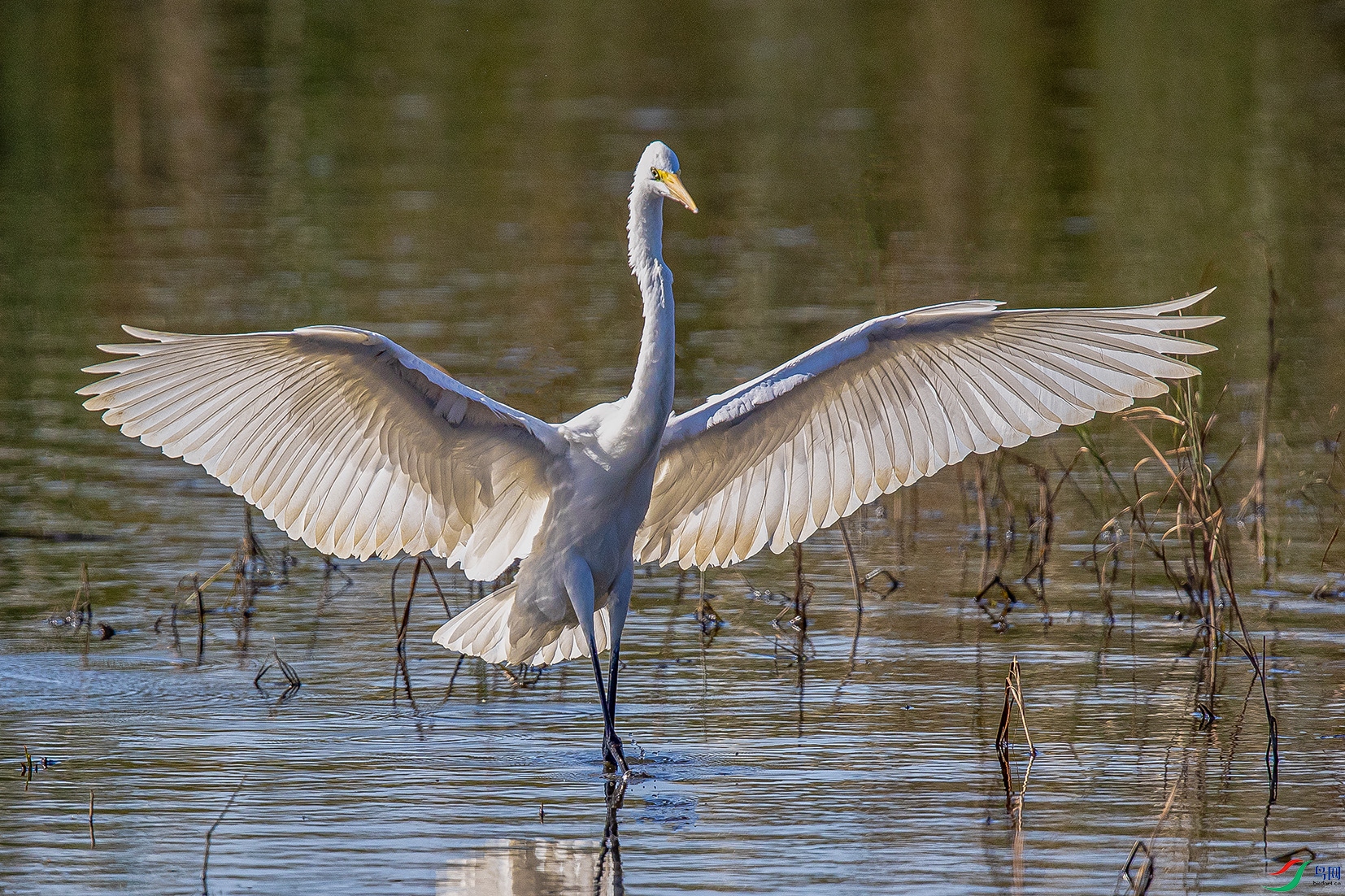 _90I6390 ����.jpg