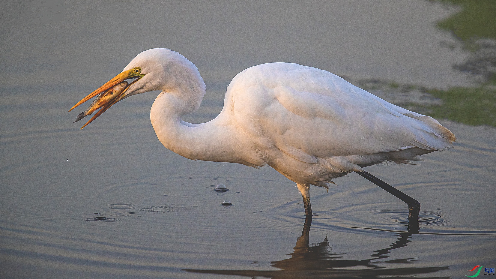 _90I7188 ����.jpg