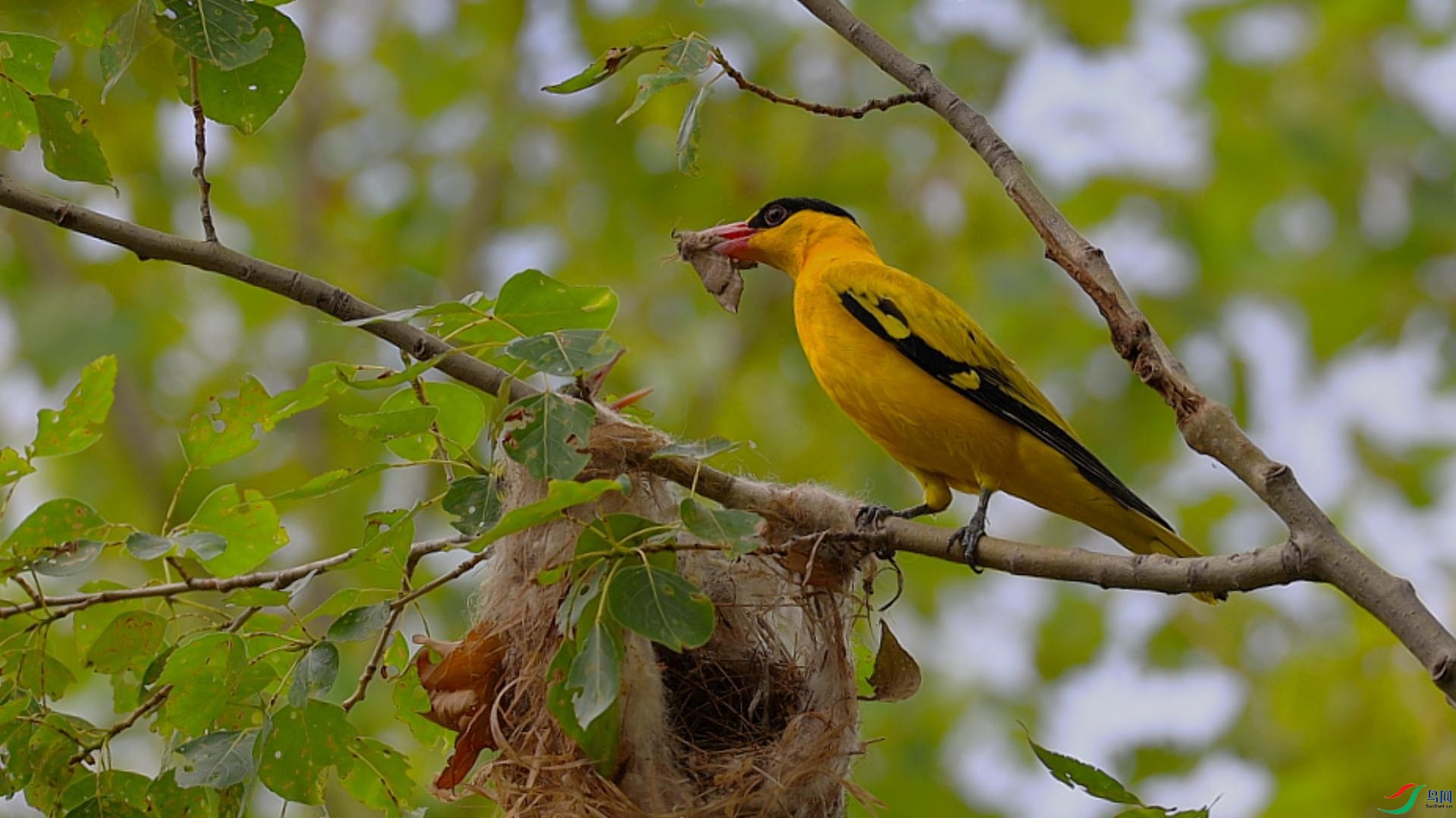 7��7�� (2)-����.jpg