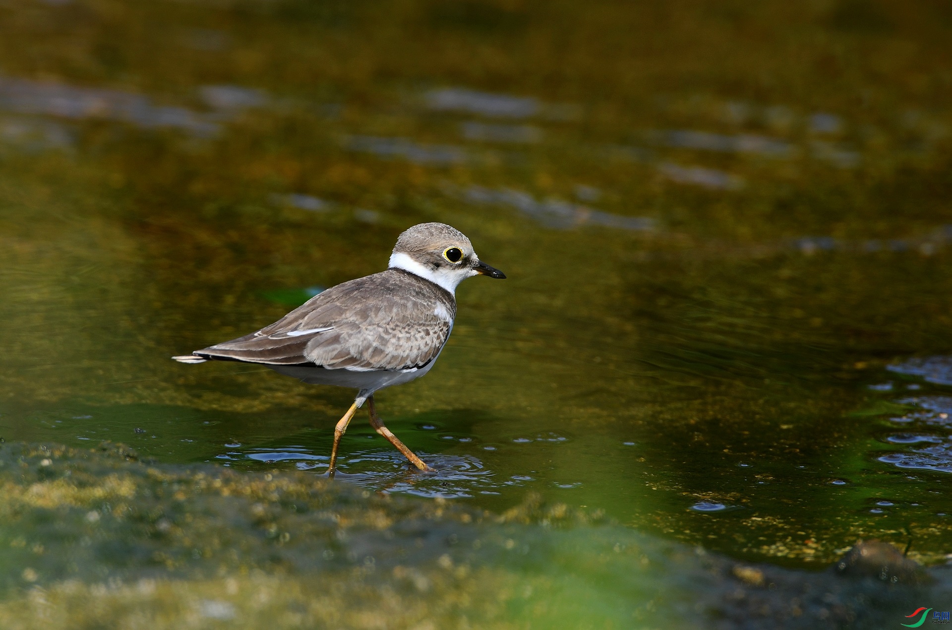 DSC_6058.jpg