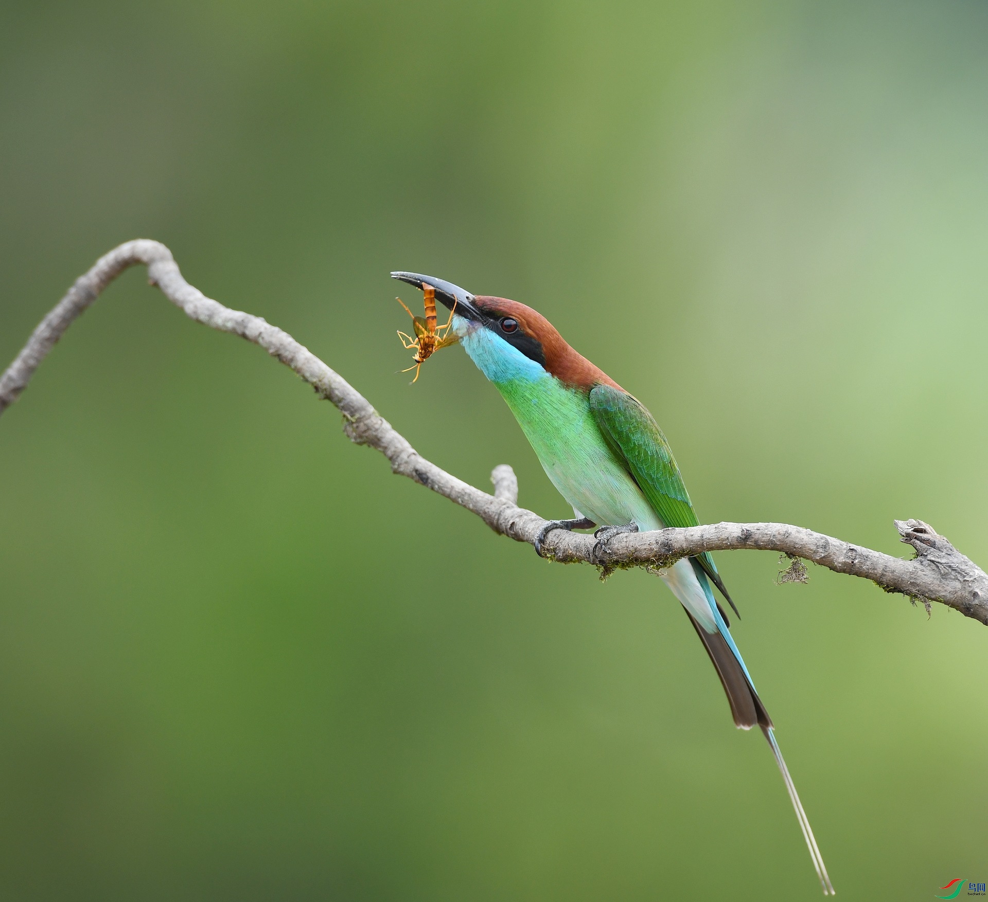 DSC_5873.jpg