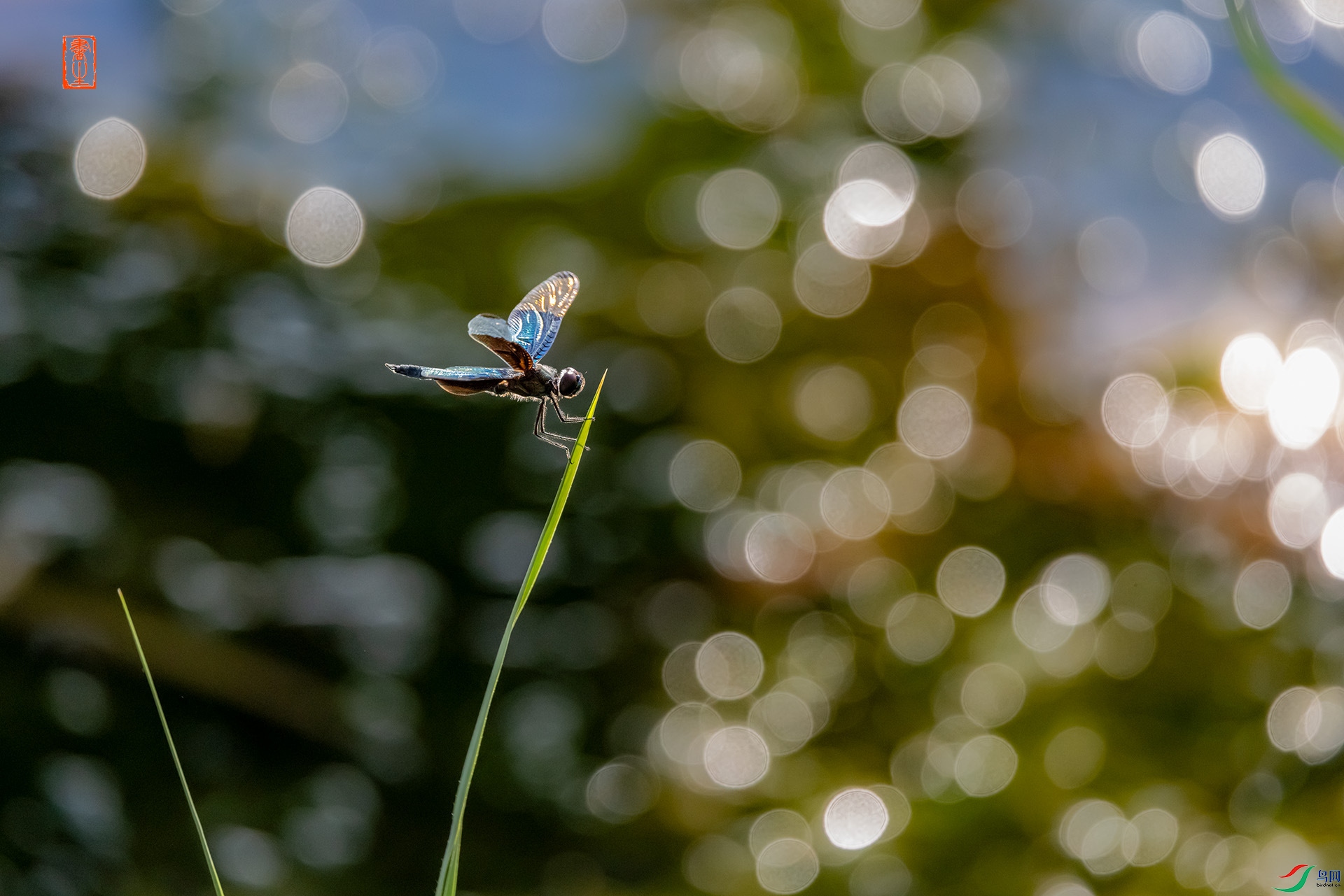 _F6A8104.jpg