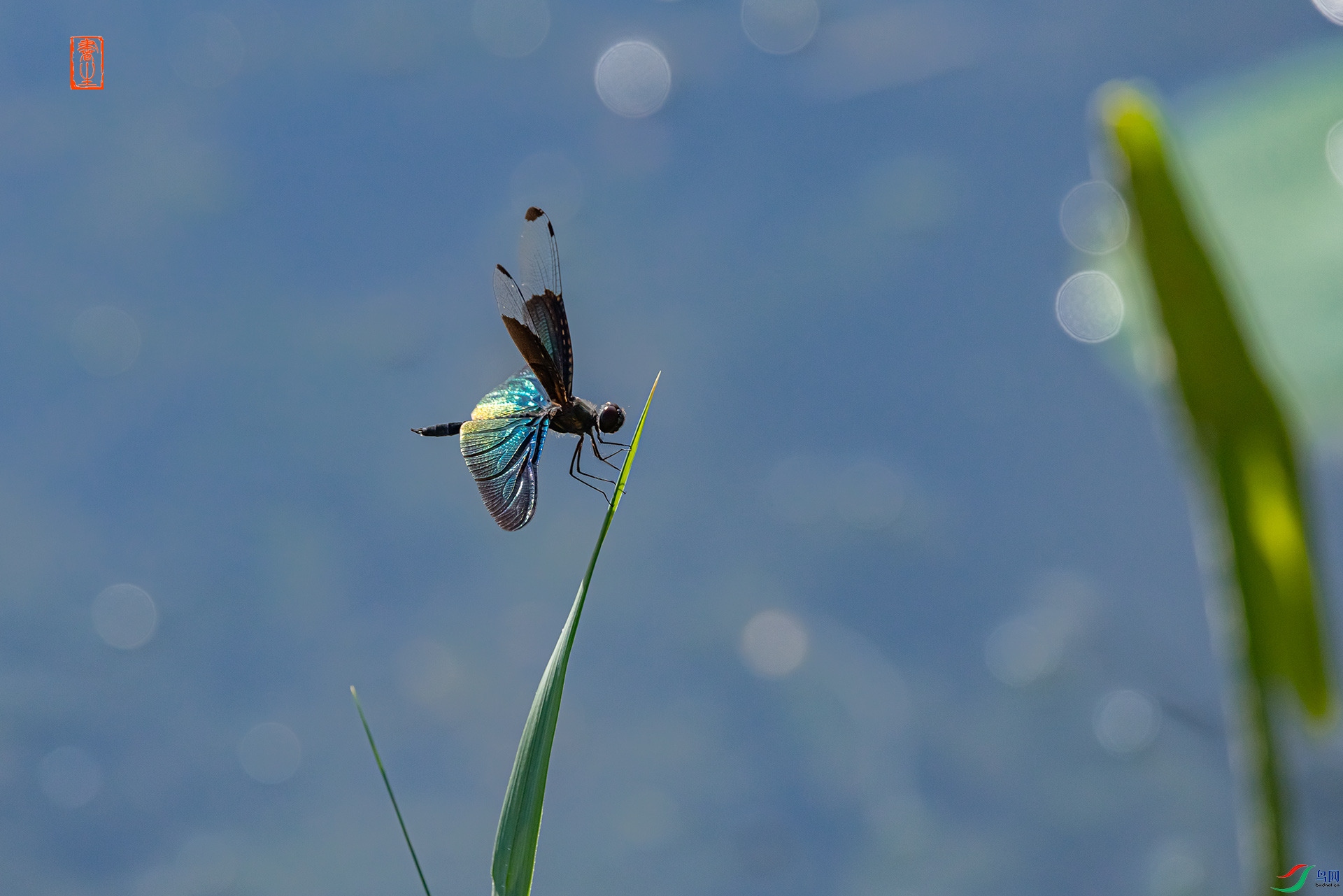 _F6A8376.jpg