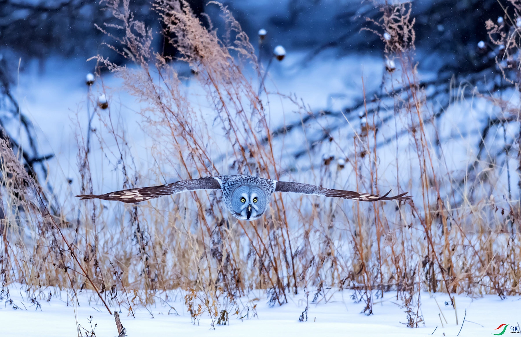 DSC_1556.jpg