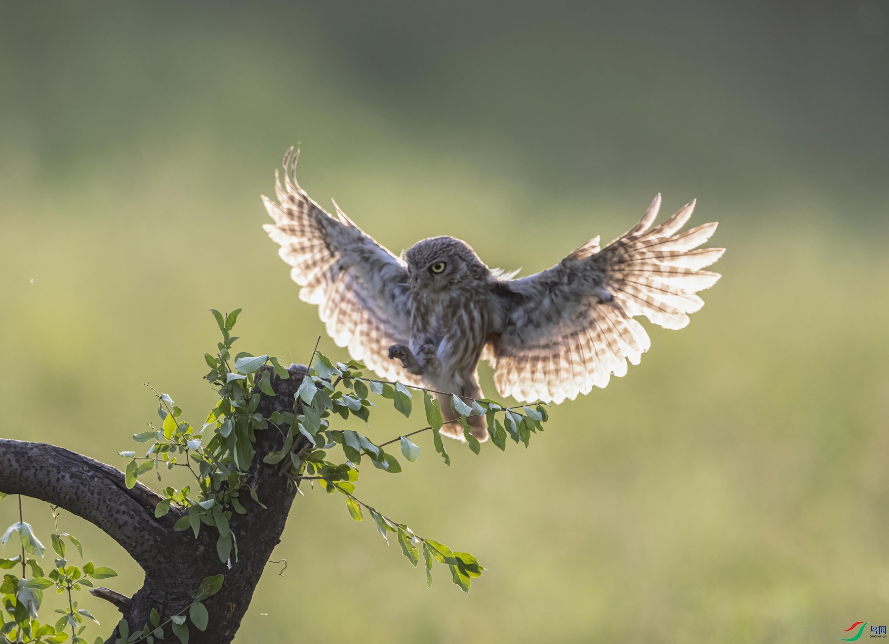 DSC_7264 ����_����.jpg