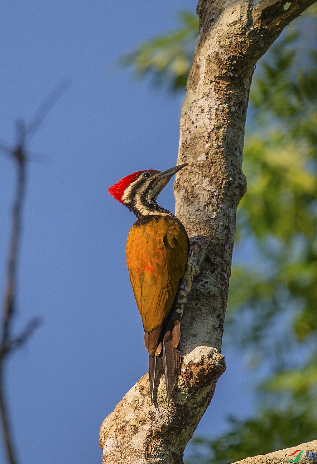 DSC_7726.jpg