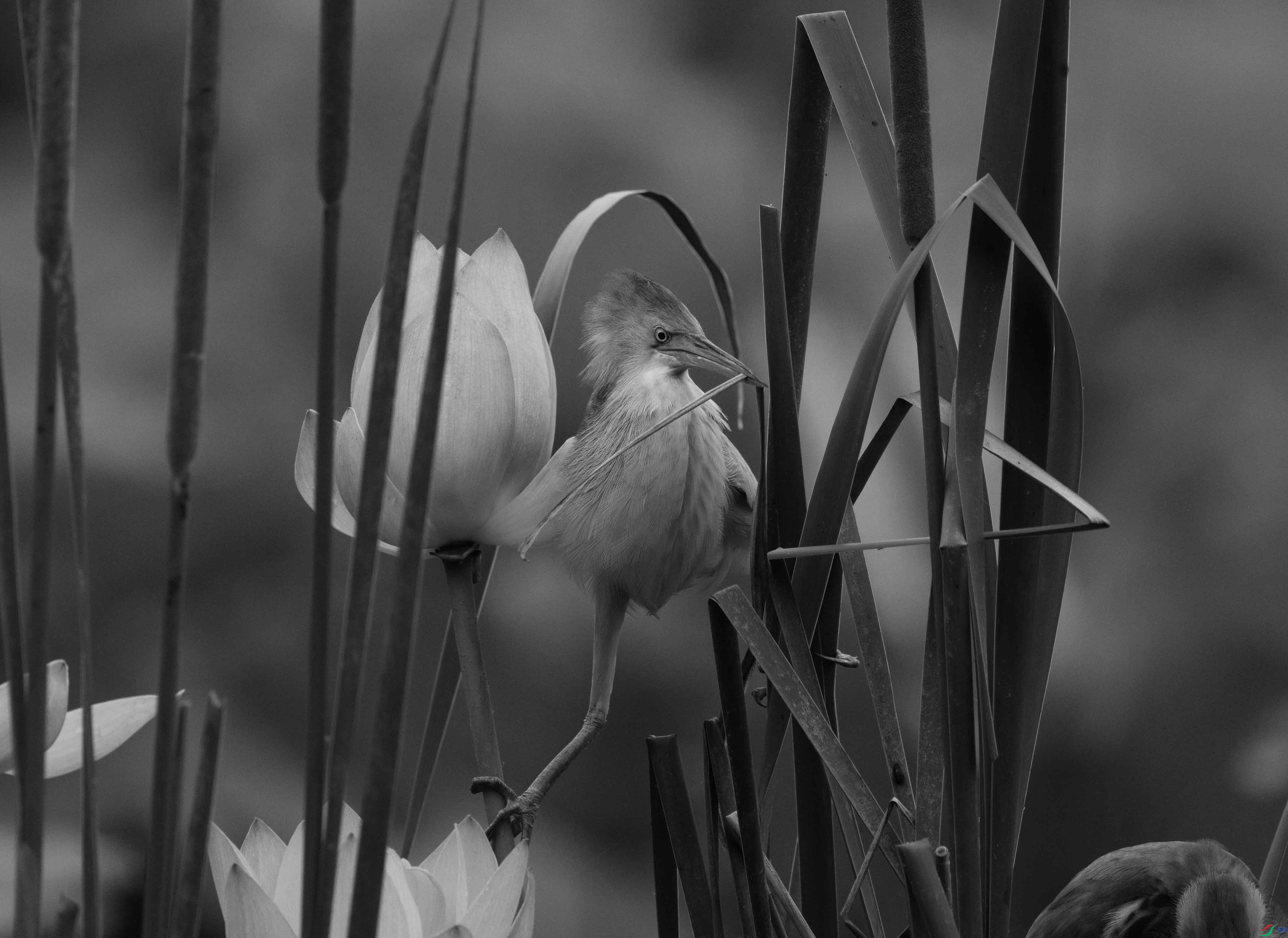 1DS_3190 ���� 2.jpg