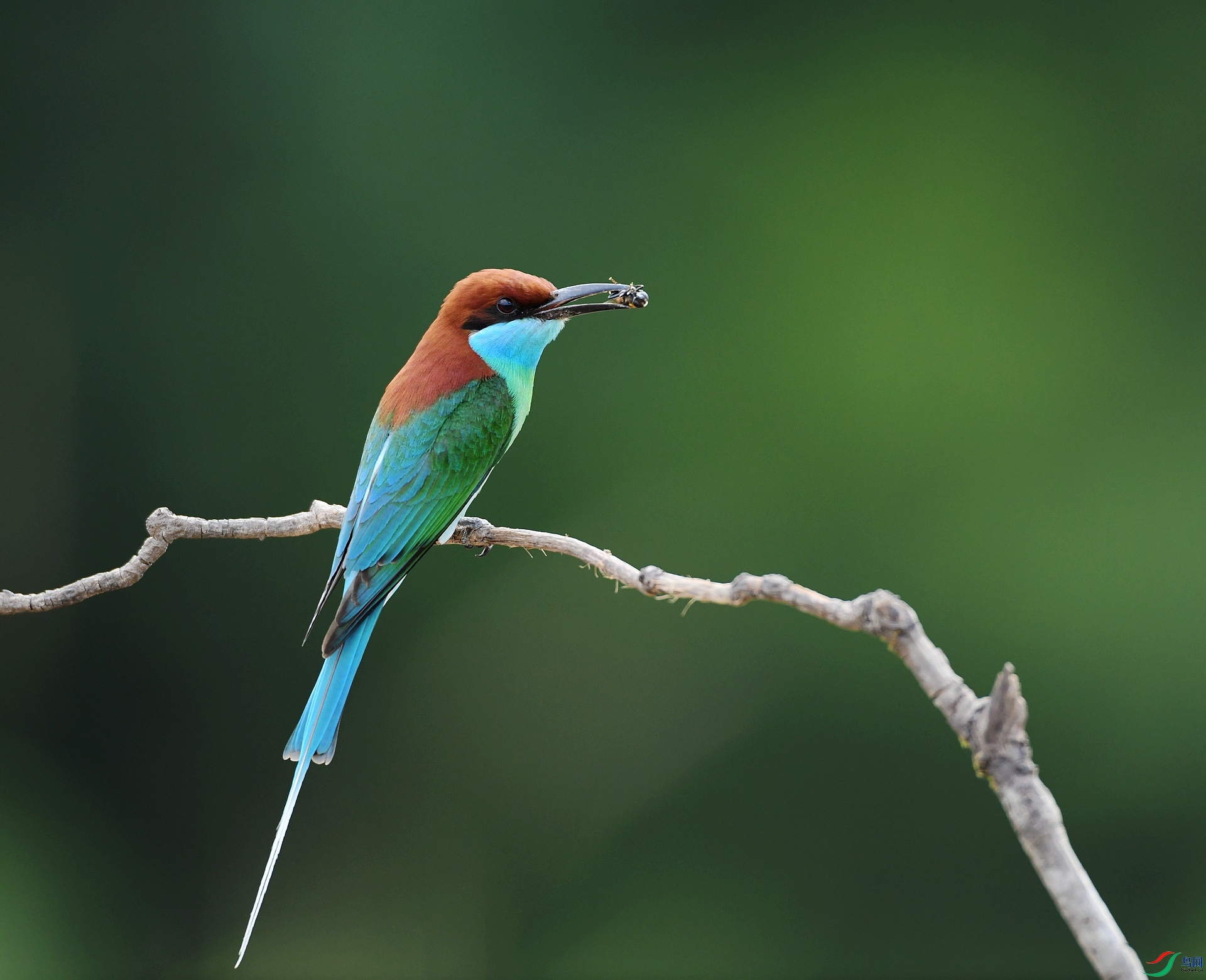 DSC_5063.jpg