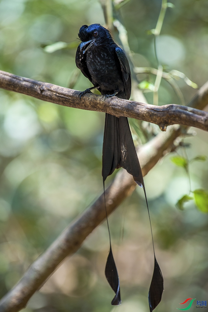 DSC_1339.jpg