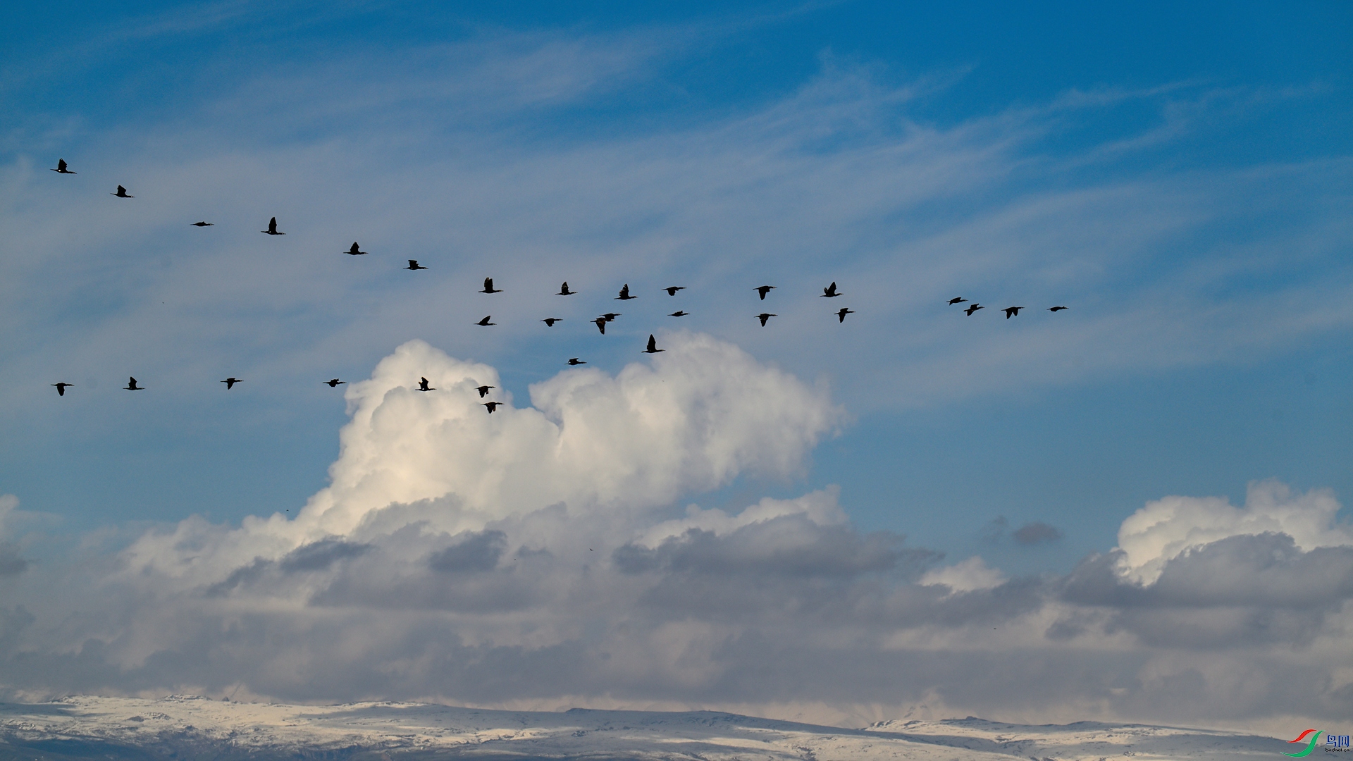 _DSC5619 - ����_����.jpg