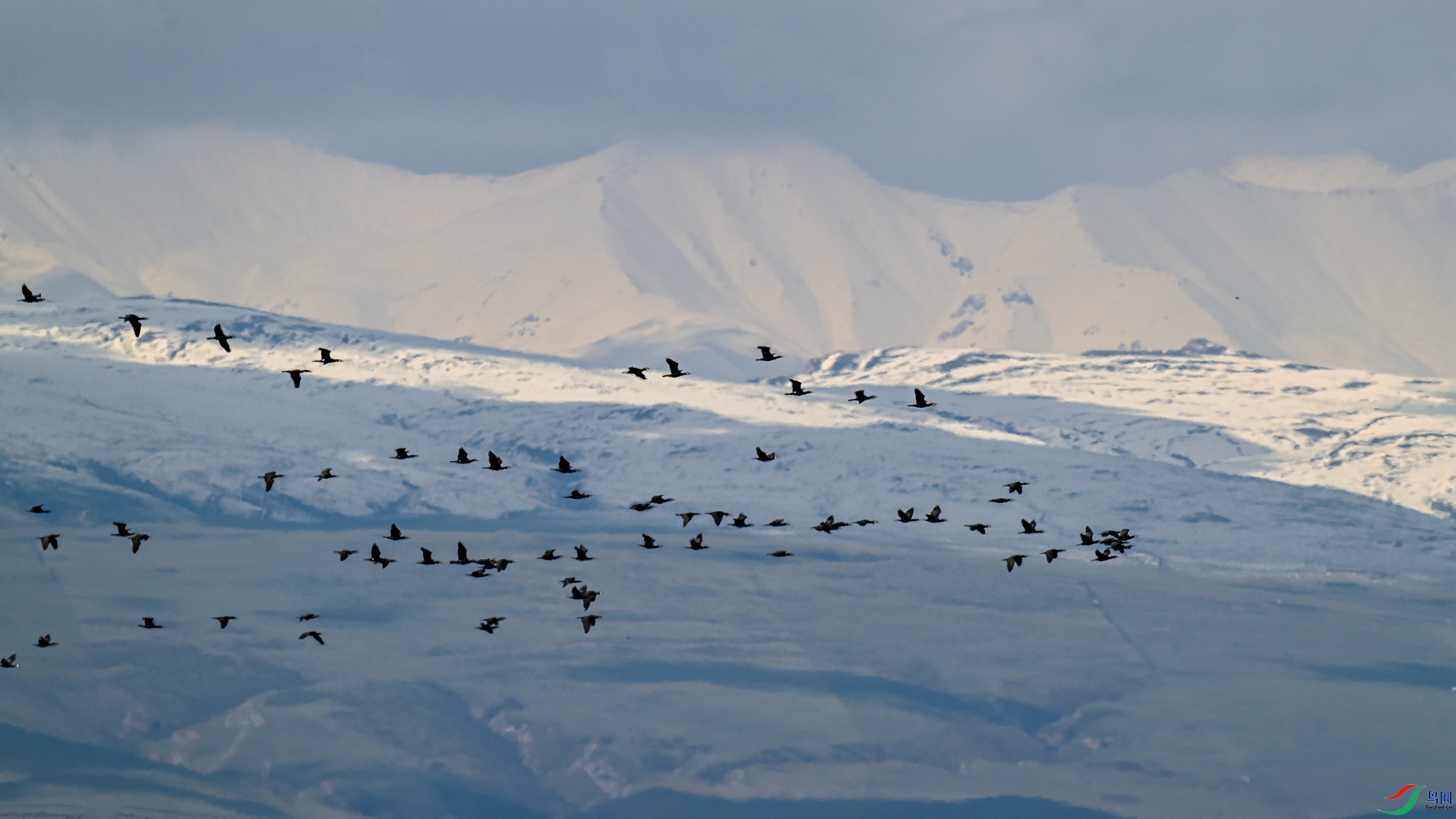 _DSC5804_���� - ����.jpg