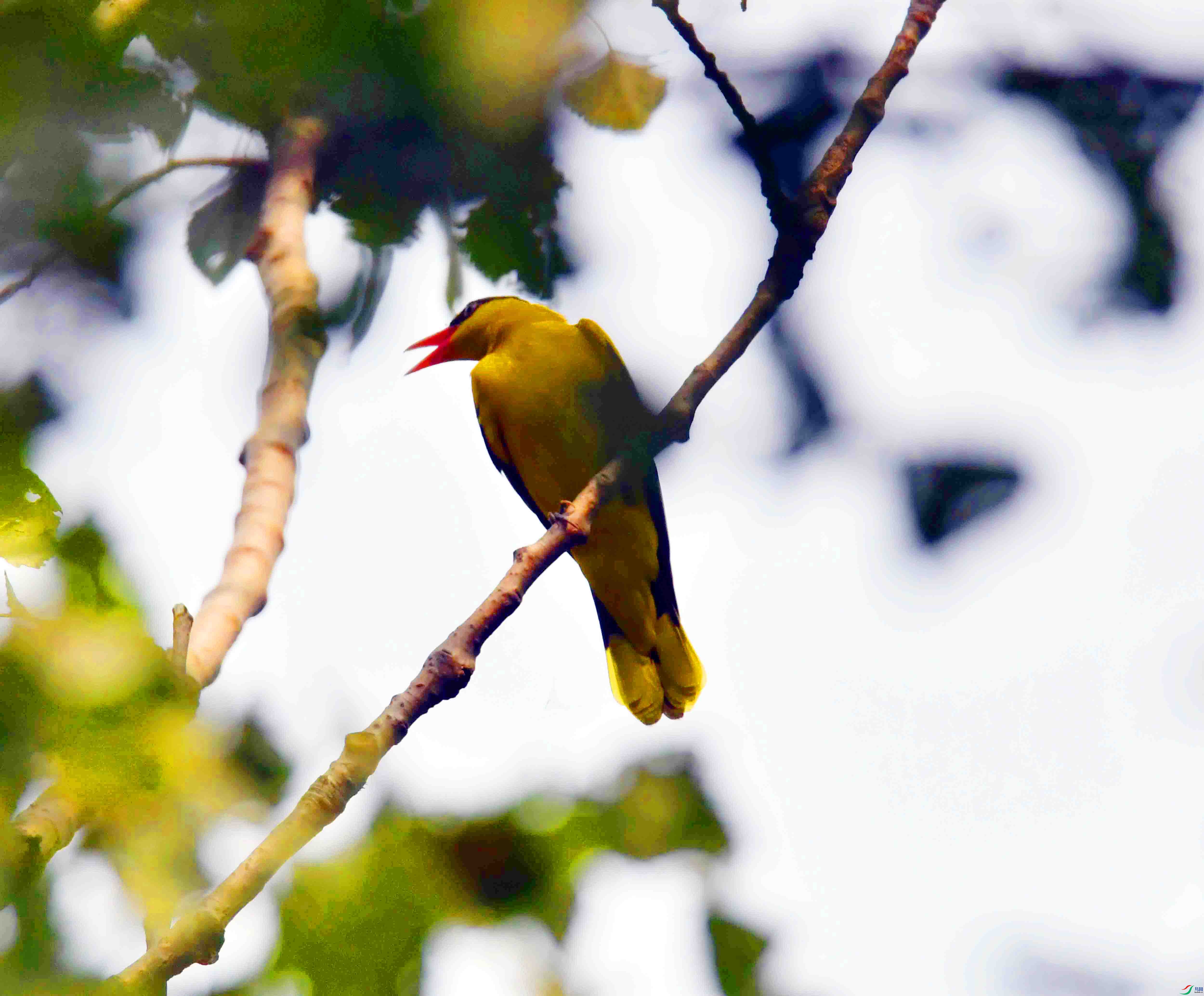 DSC_7506.JPG