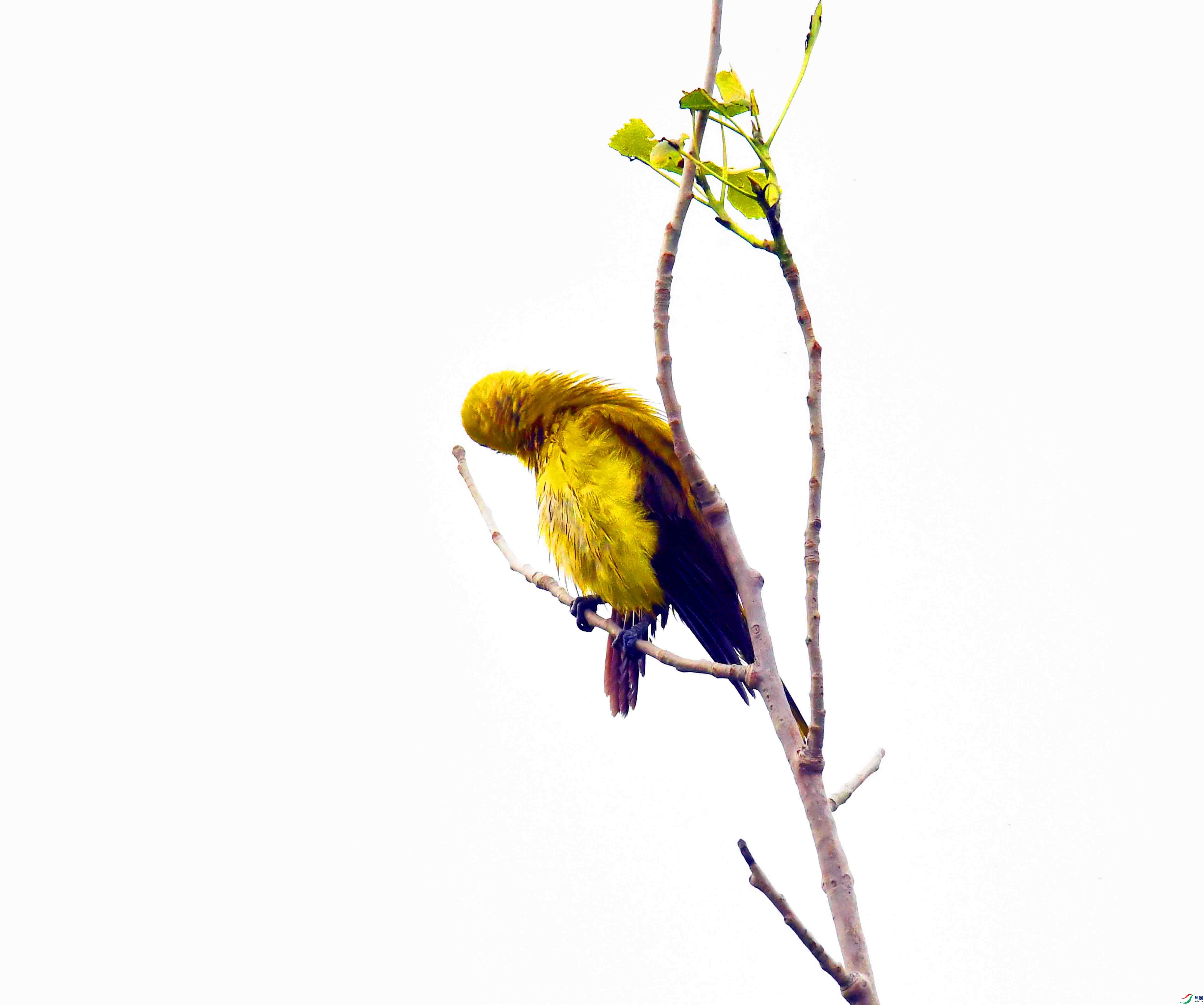 DSC_7854.JPG