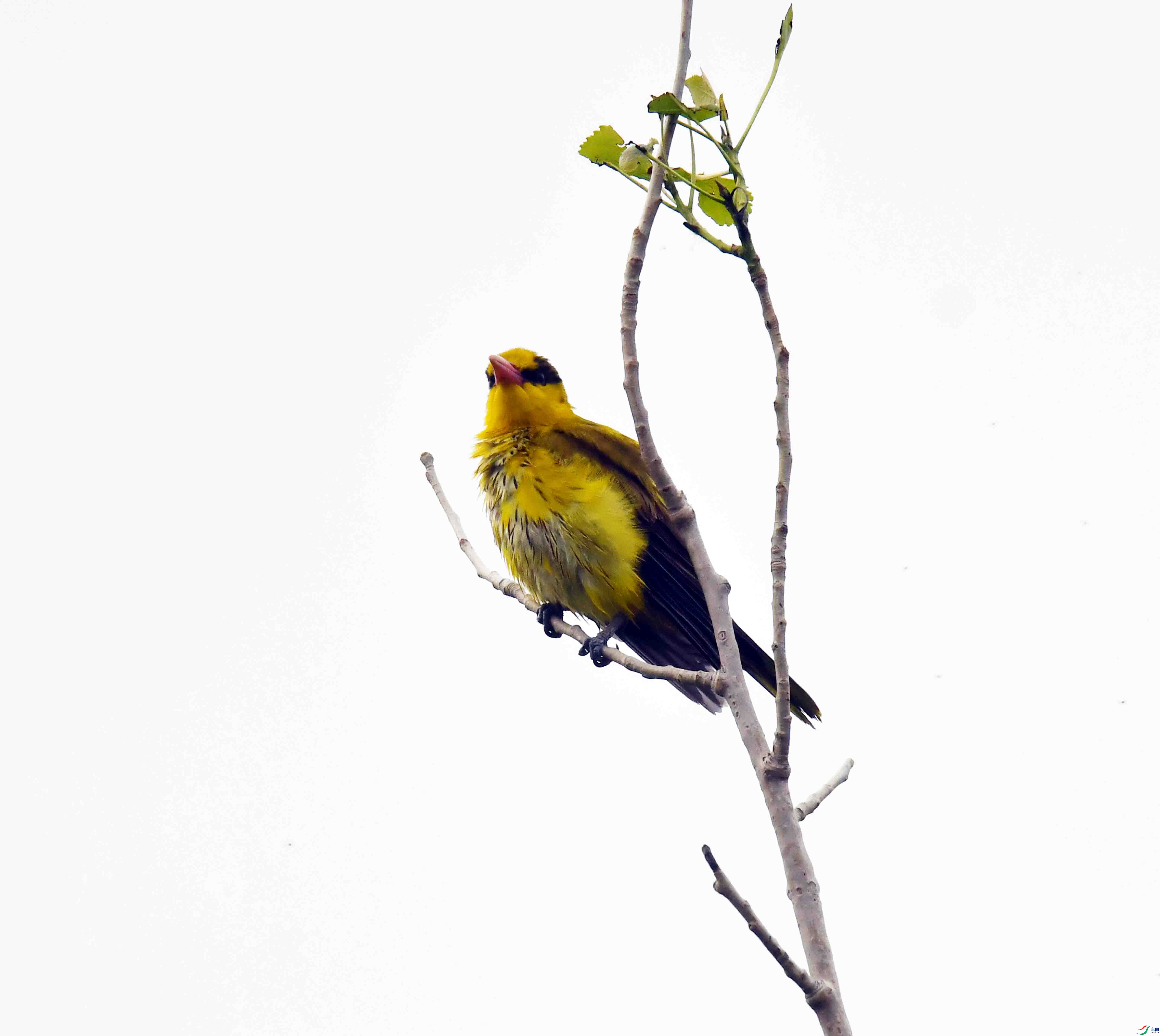 DSC_7865.JPG