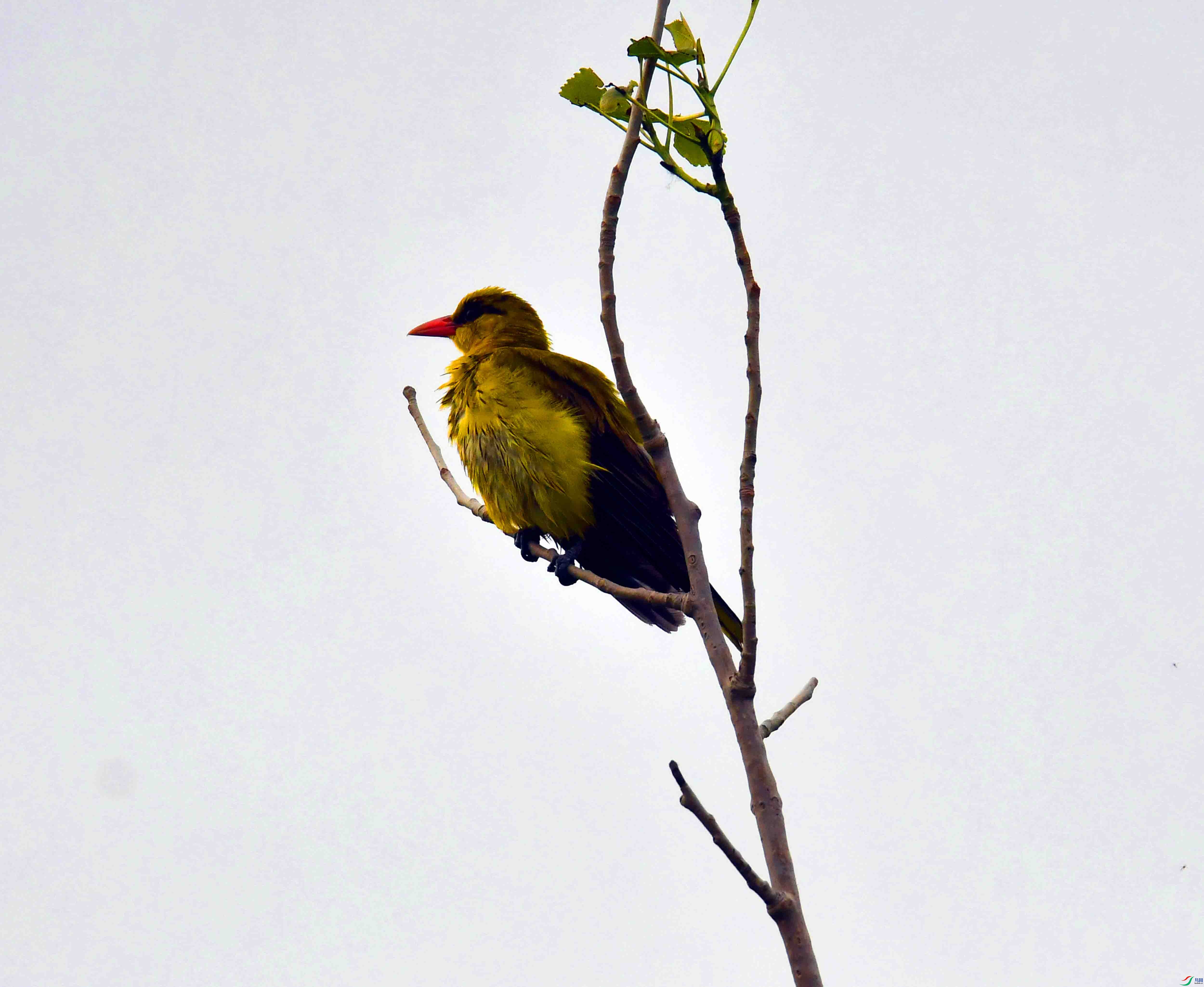 DSC_7910.JPG